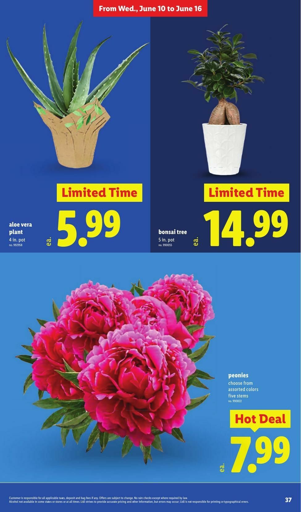 LIDL Weekly Ad from June 10