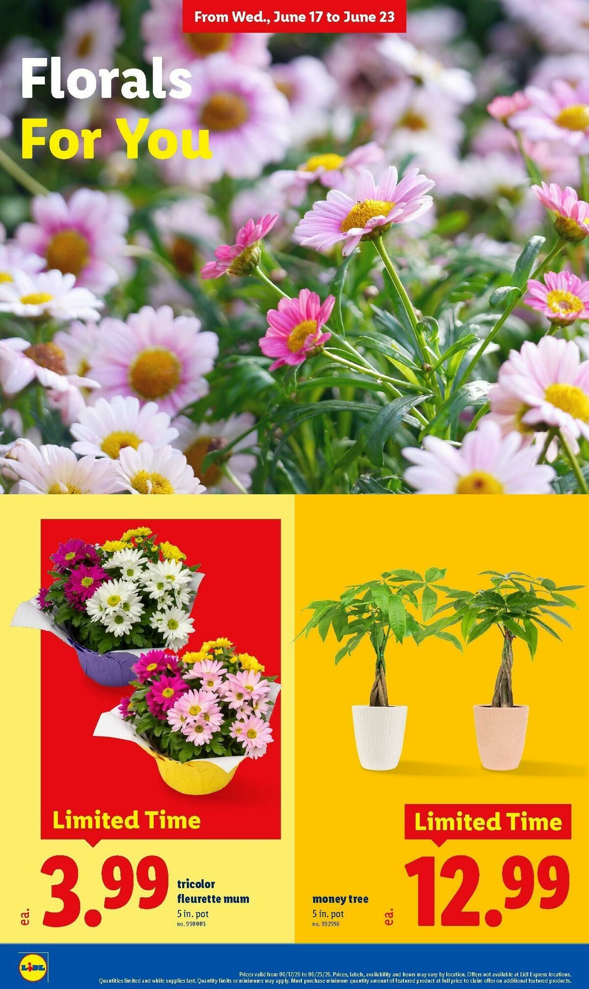 LIDL Weekly Ad from June 17