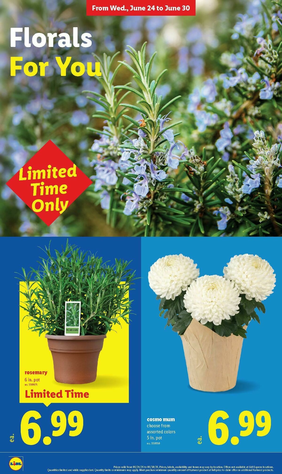 LIDL Weekly Ad from June 24