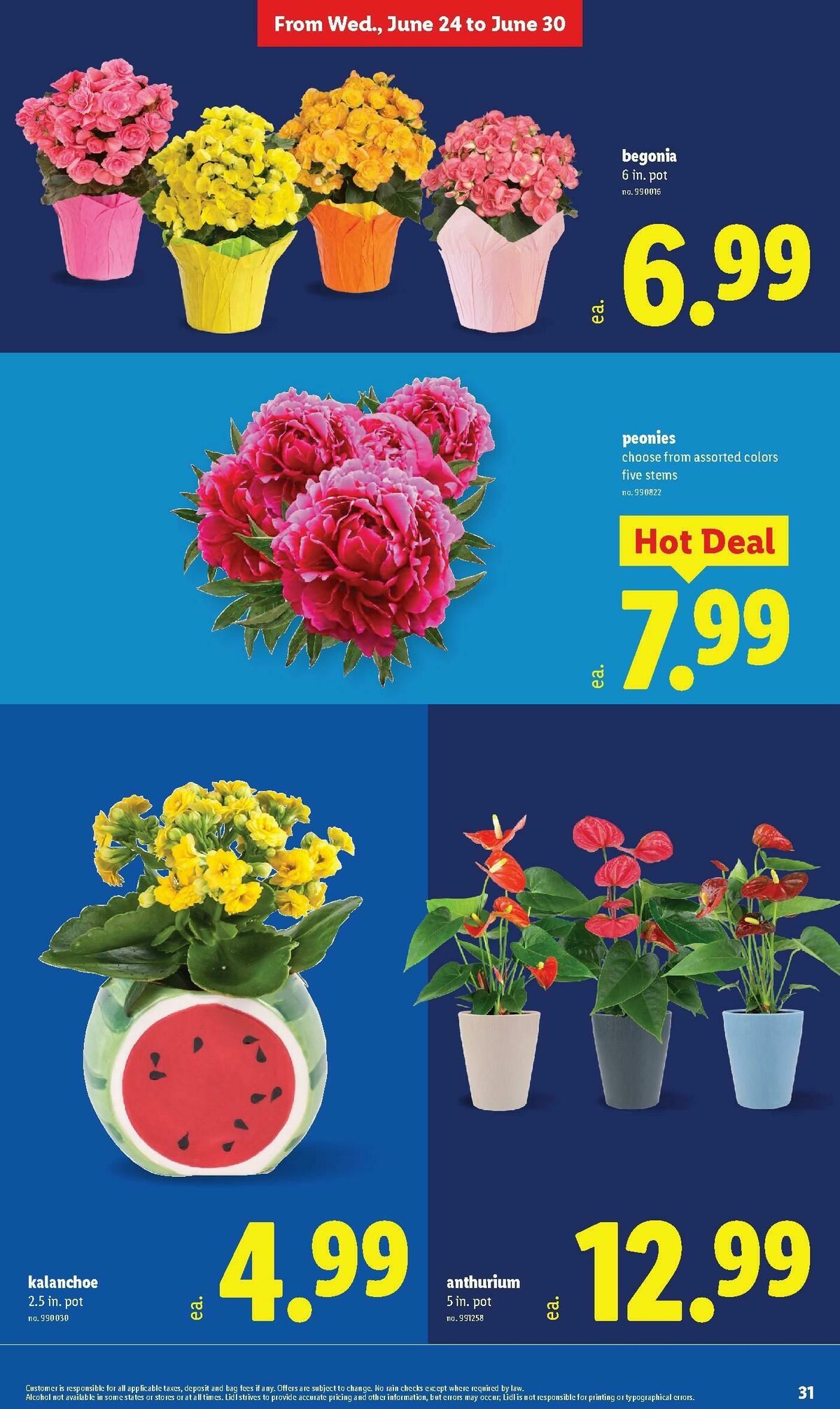 LIDL Weekly Ad from June 24