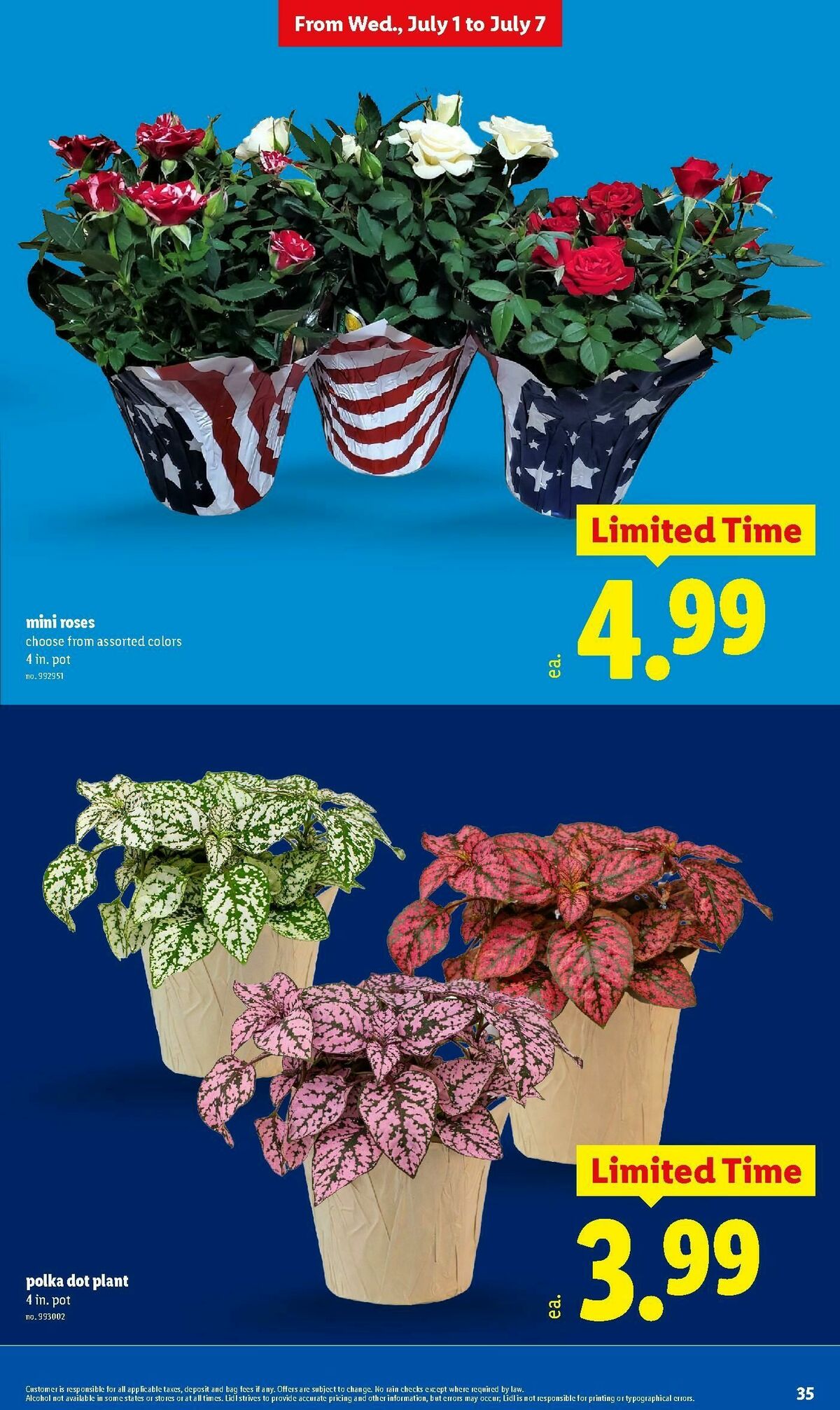 LIDL Weekly Ad from July 1