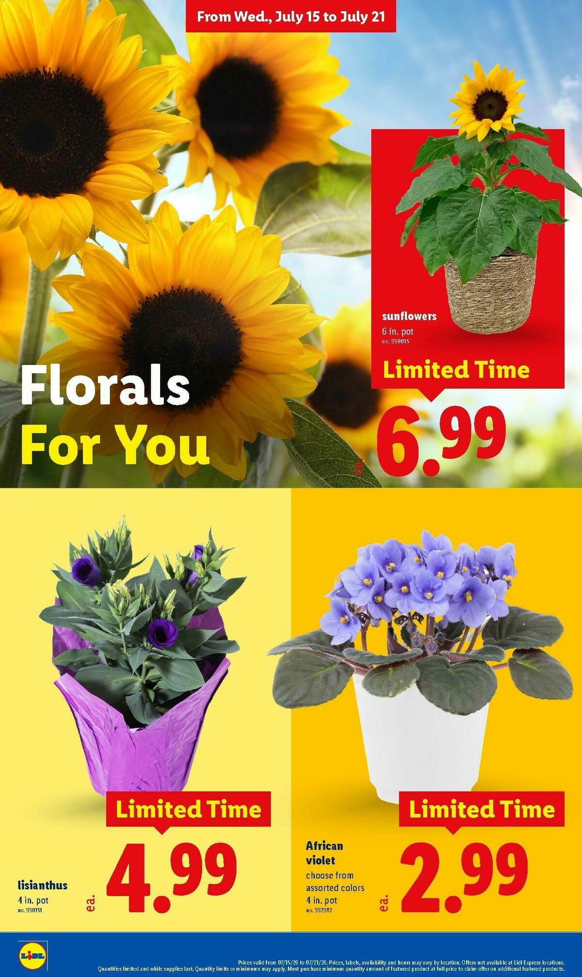 LIDL Weekly Ad from July 15