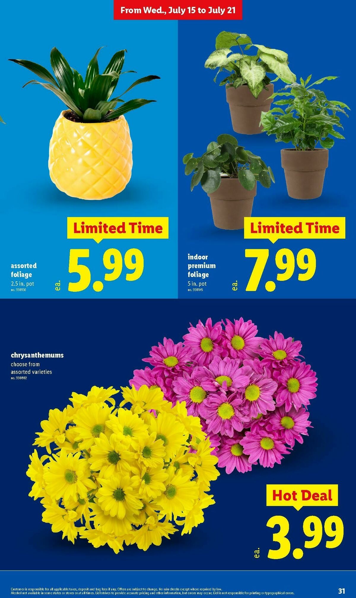 LIDL Weekly Ad from July 15