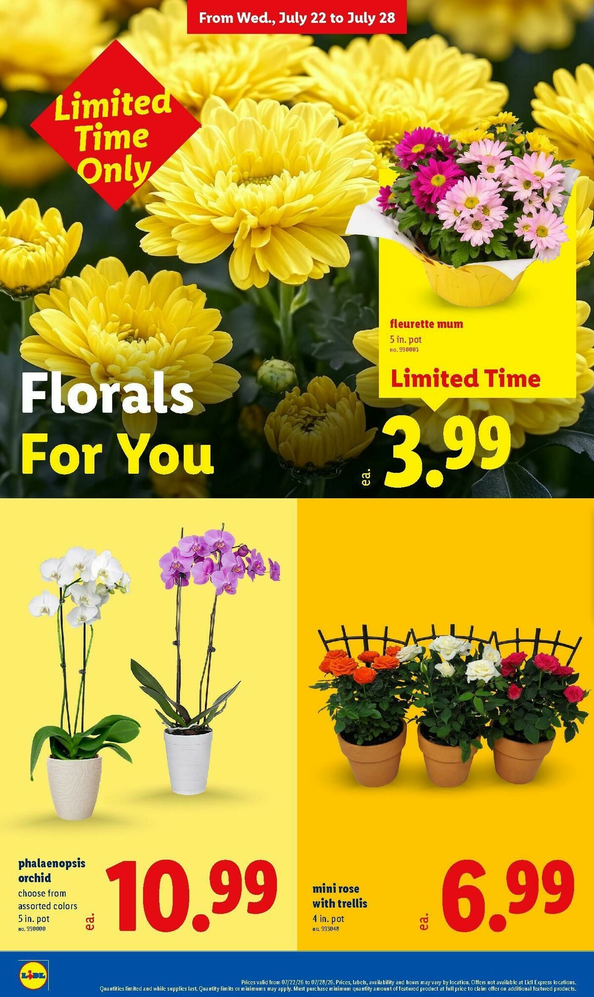 LIDL Weekly Ad from July 22