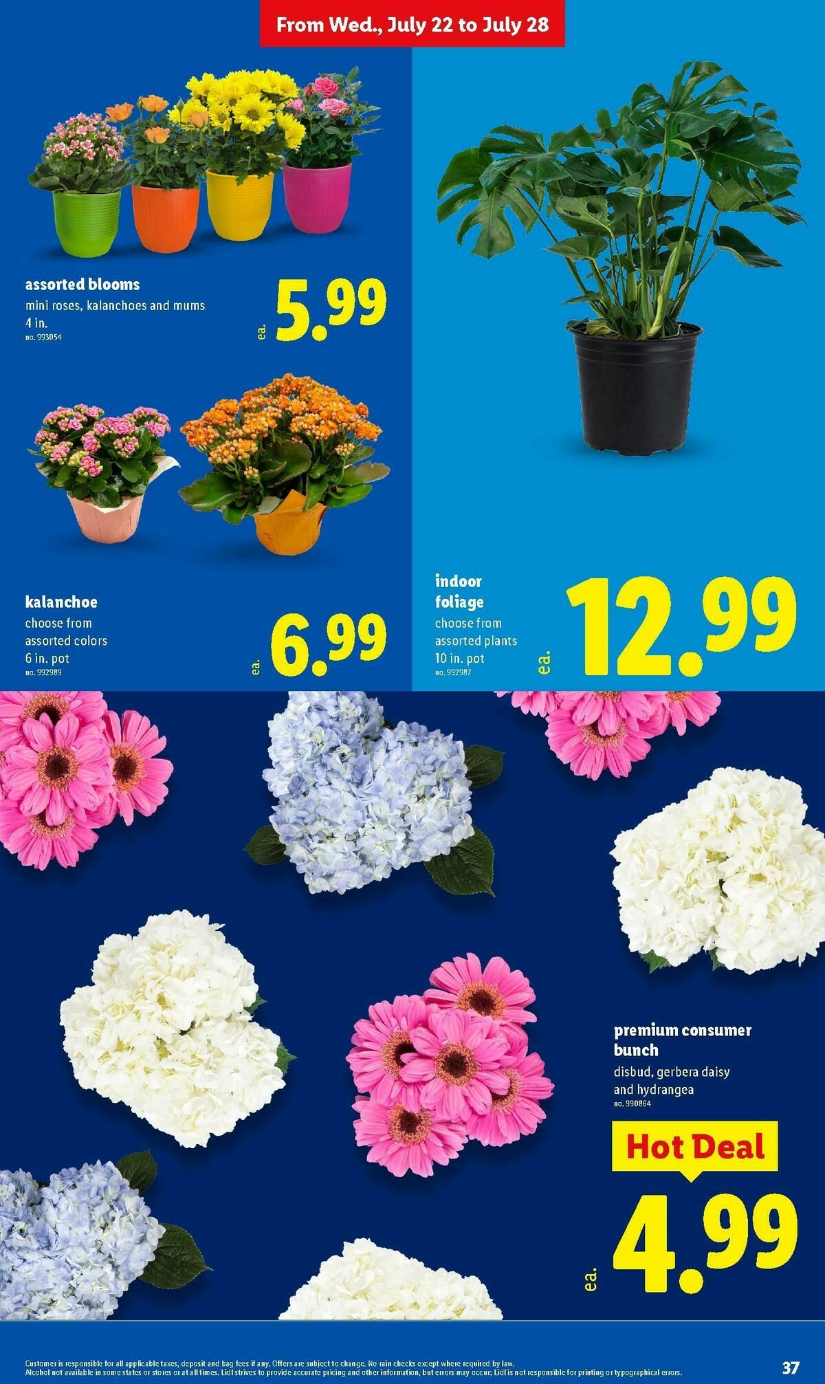 LIDL Weekly Ad from July 22
