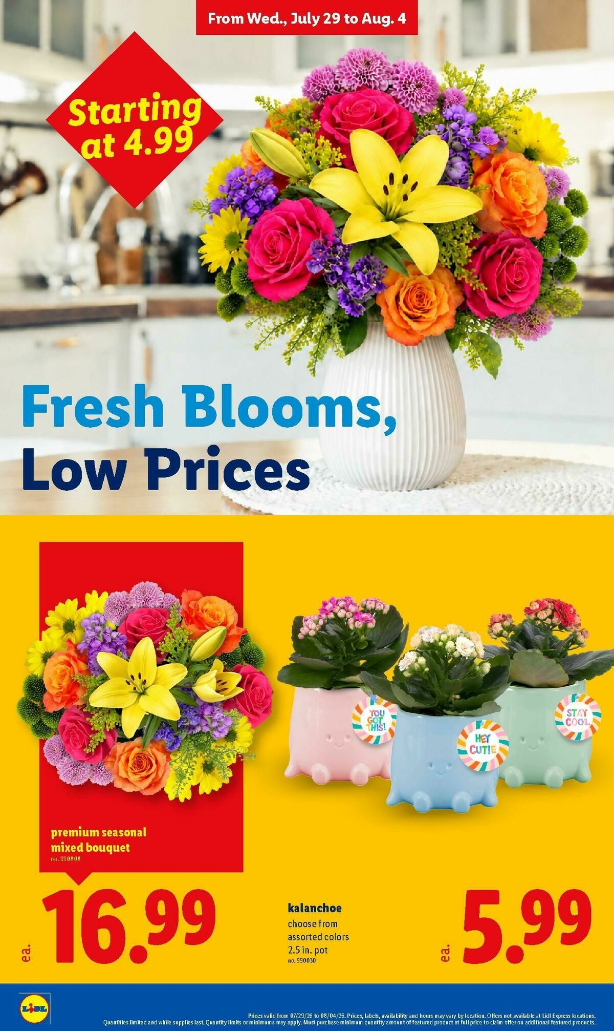 LIDL Weekly Ad from July 29