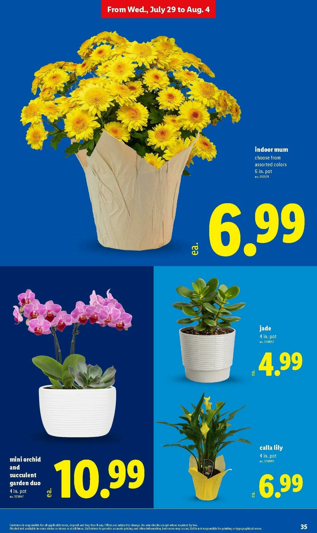 LIDL Weekly Ad from July 29