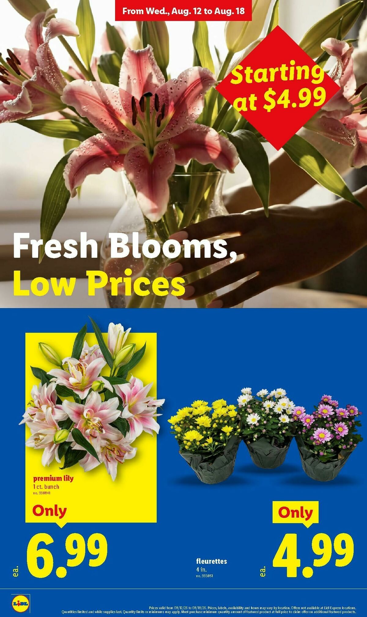 LIDL Weekly Ad from August 12