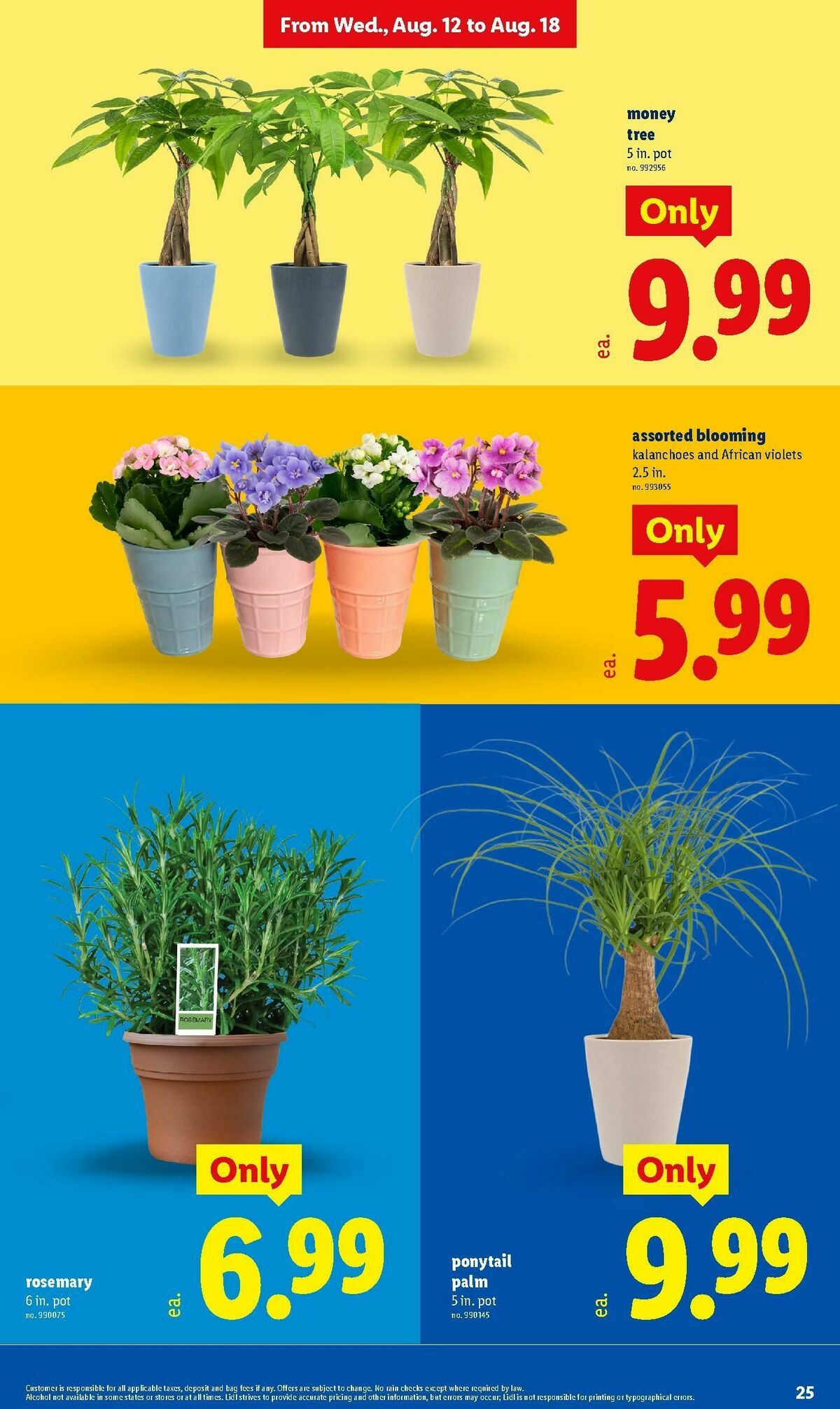 LIDL Weekly Ad from August 12