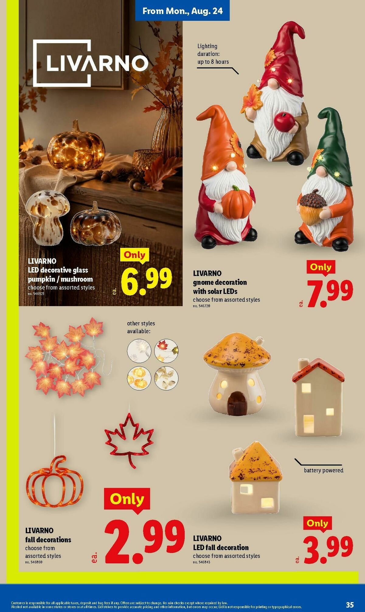 LIDL Weekly Ad from August 19