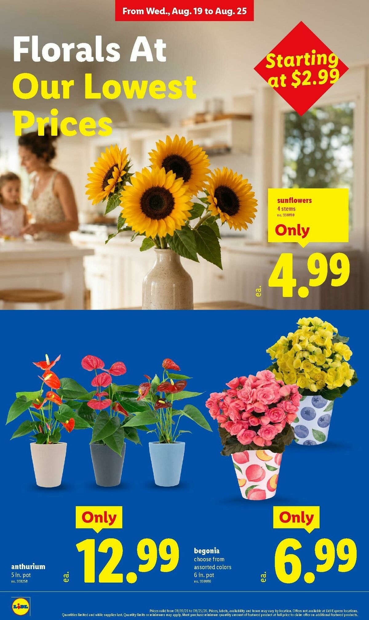 LIDL Weekly Ad from August 19