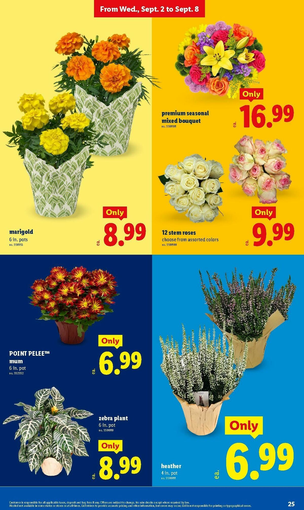 LIDL Weekly Ad from September 2