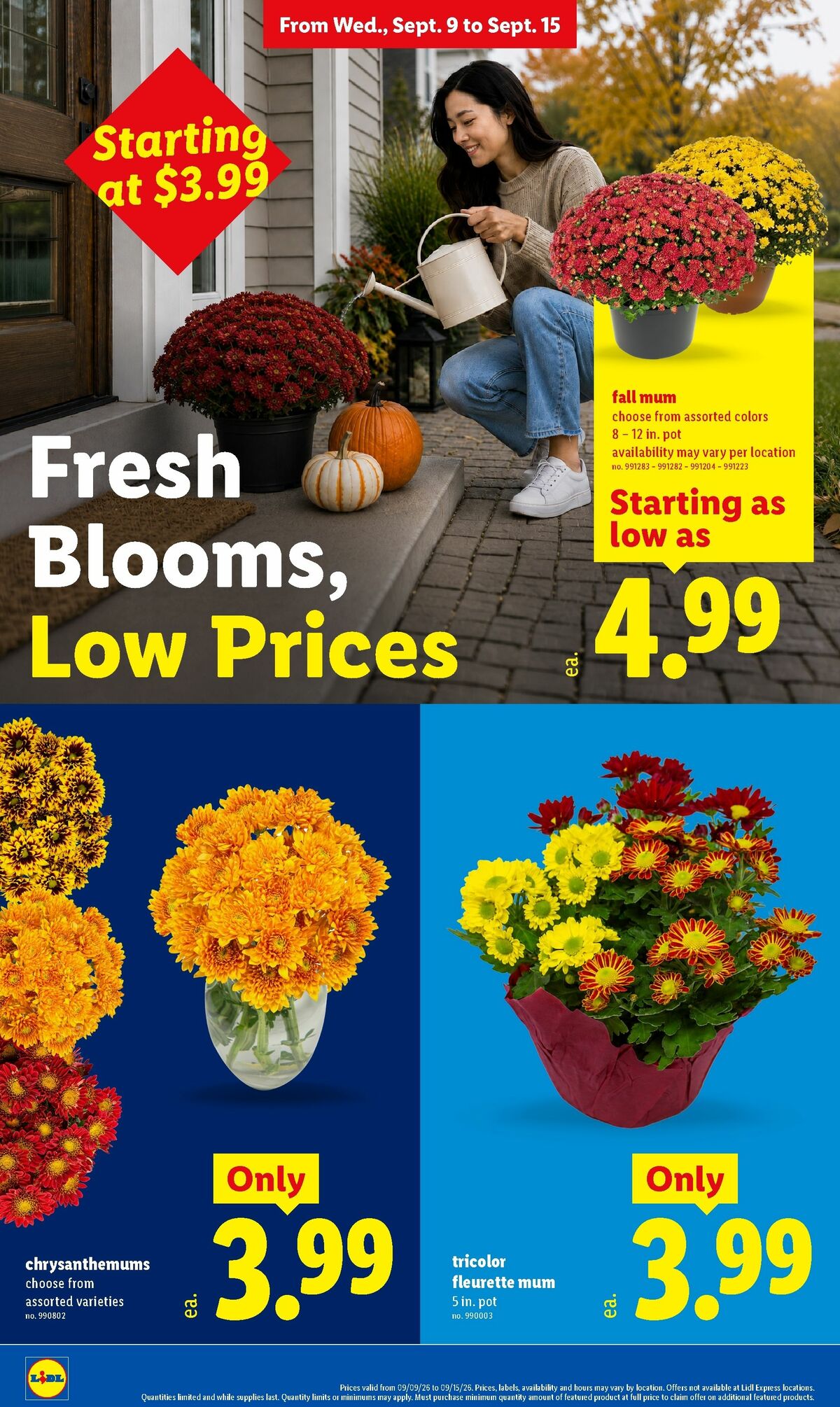 LIDL Weekly Ad from September 9