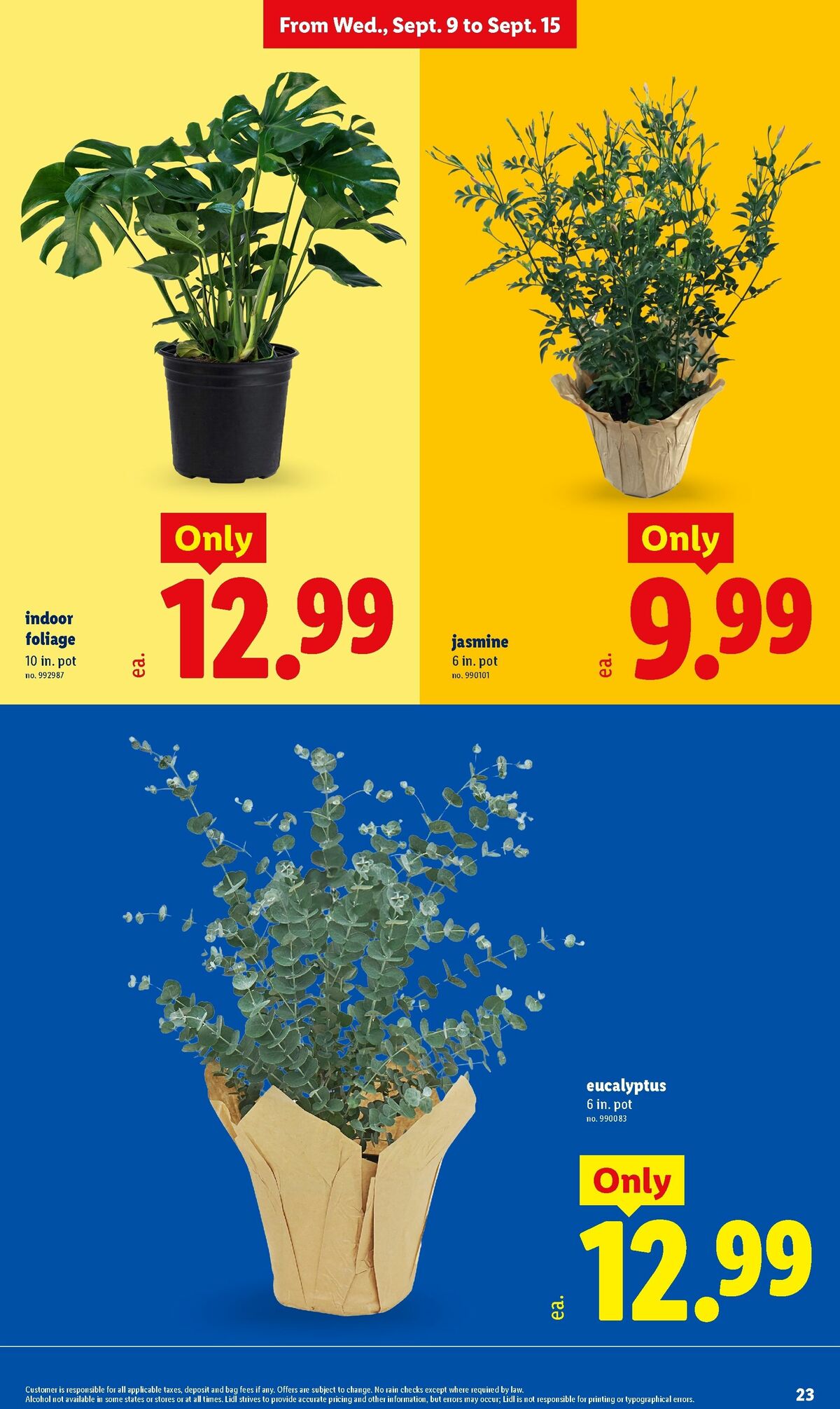 LIDL Weekly Ad from September 9