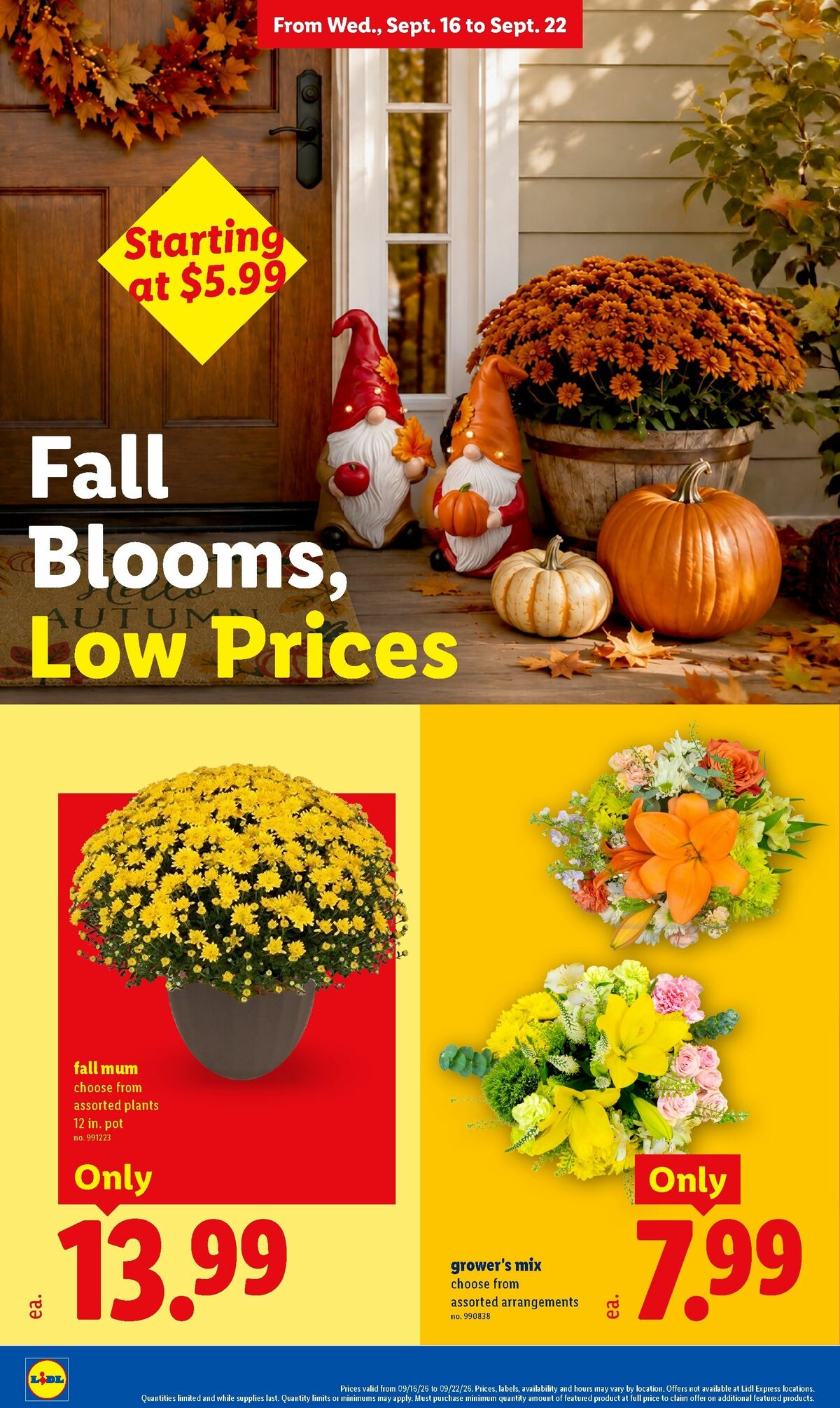 LIDL Weekly Ad from September 16