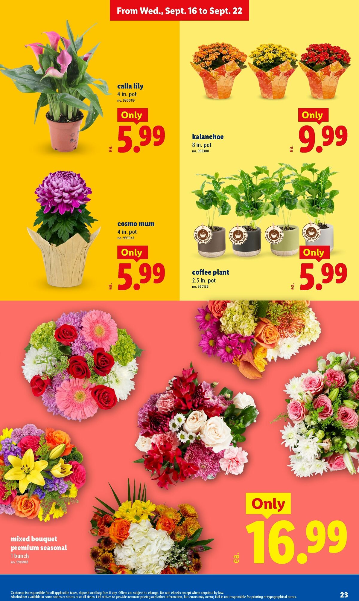 LIDL Weekly Ad from September 16