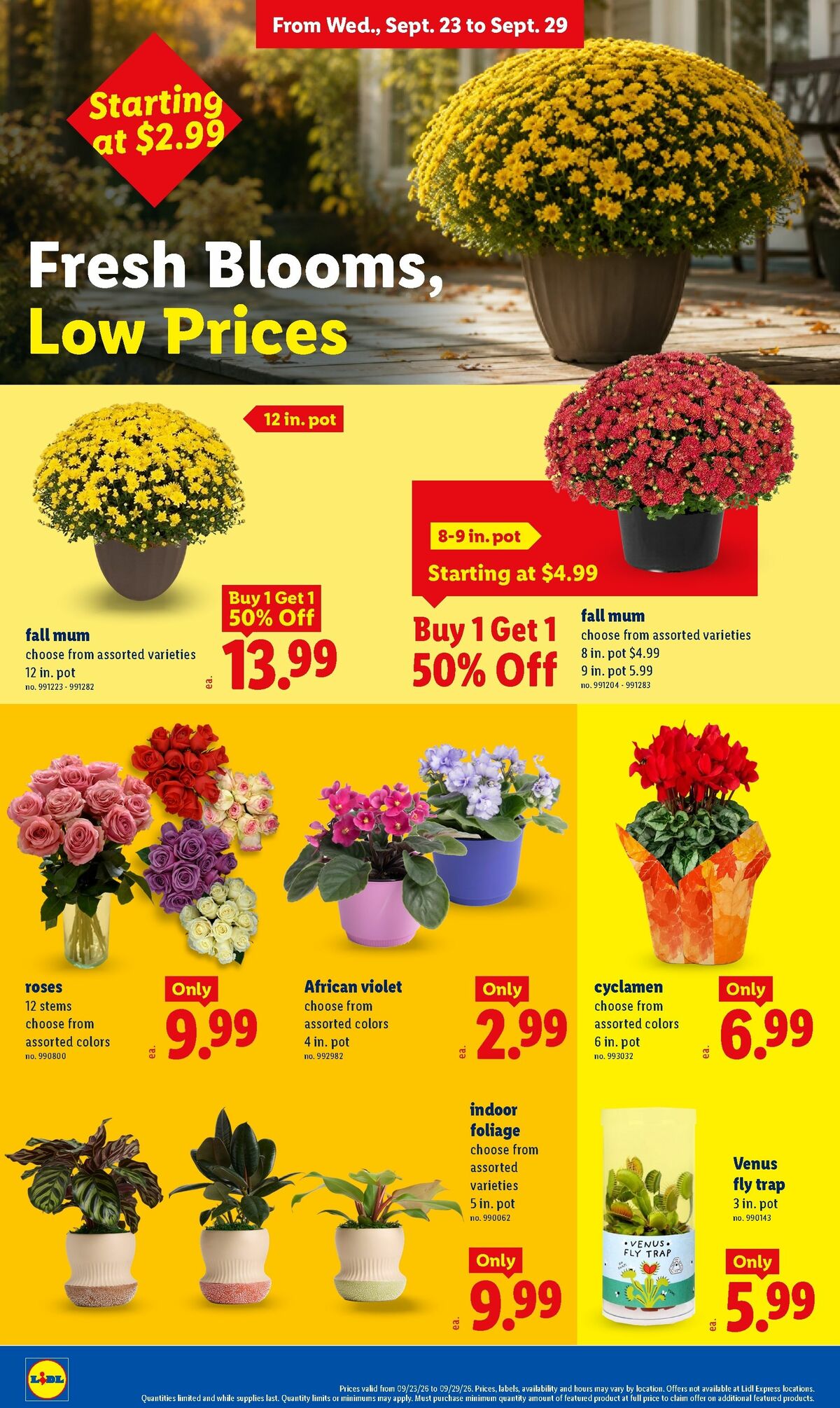 LIDL Weekly Ad from September 23