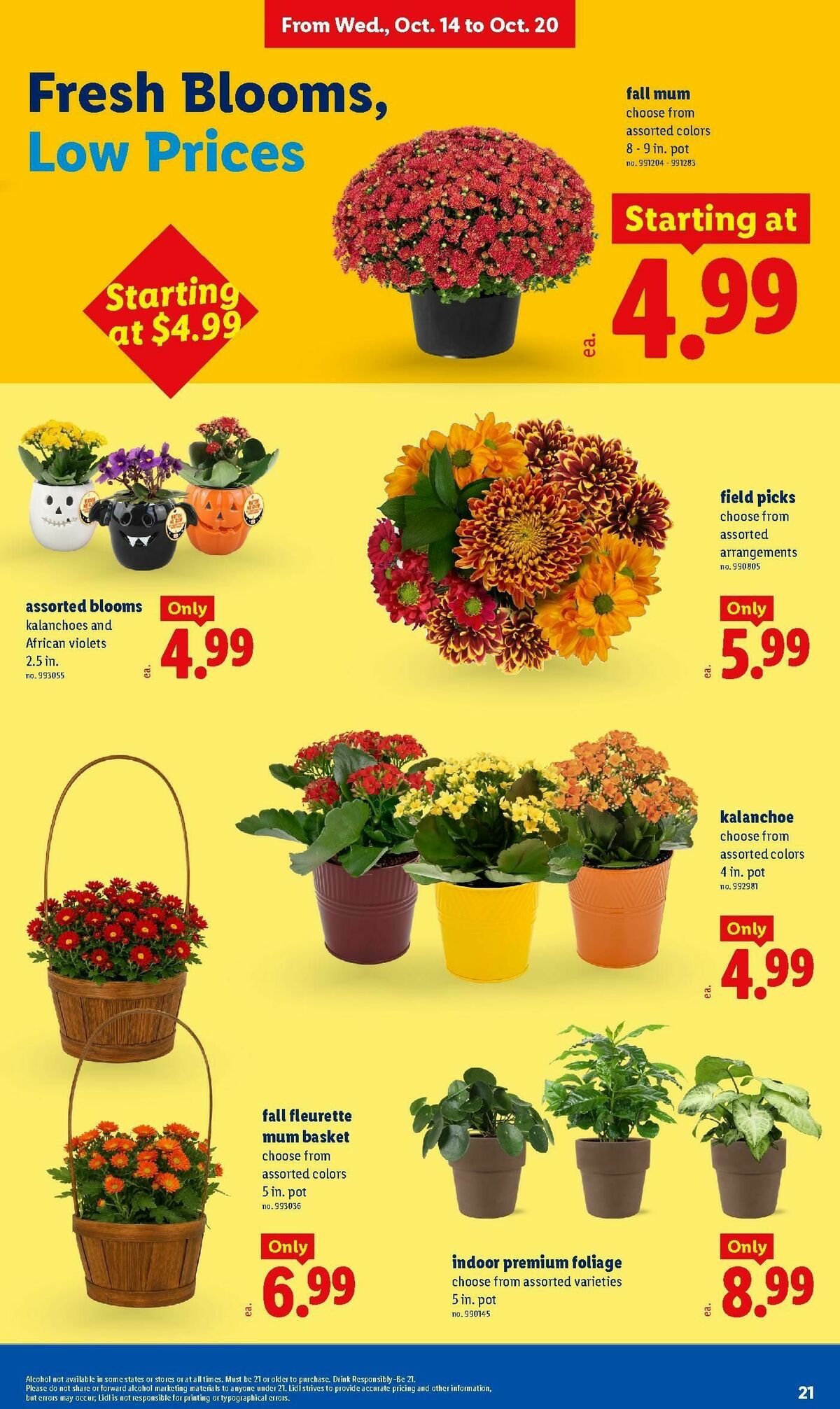 LIDL Weekly Ad from October 14