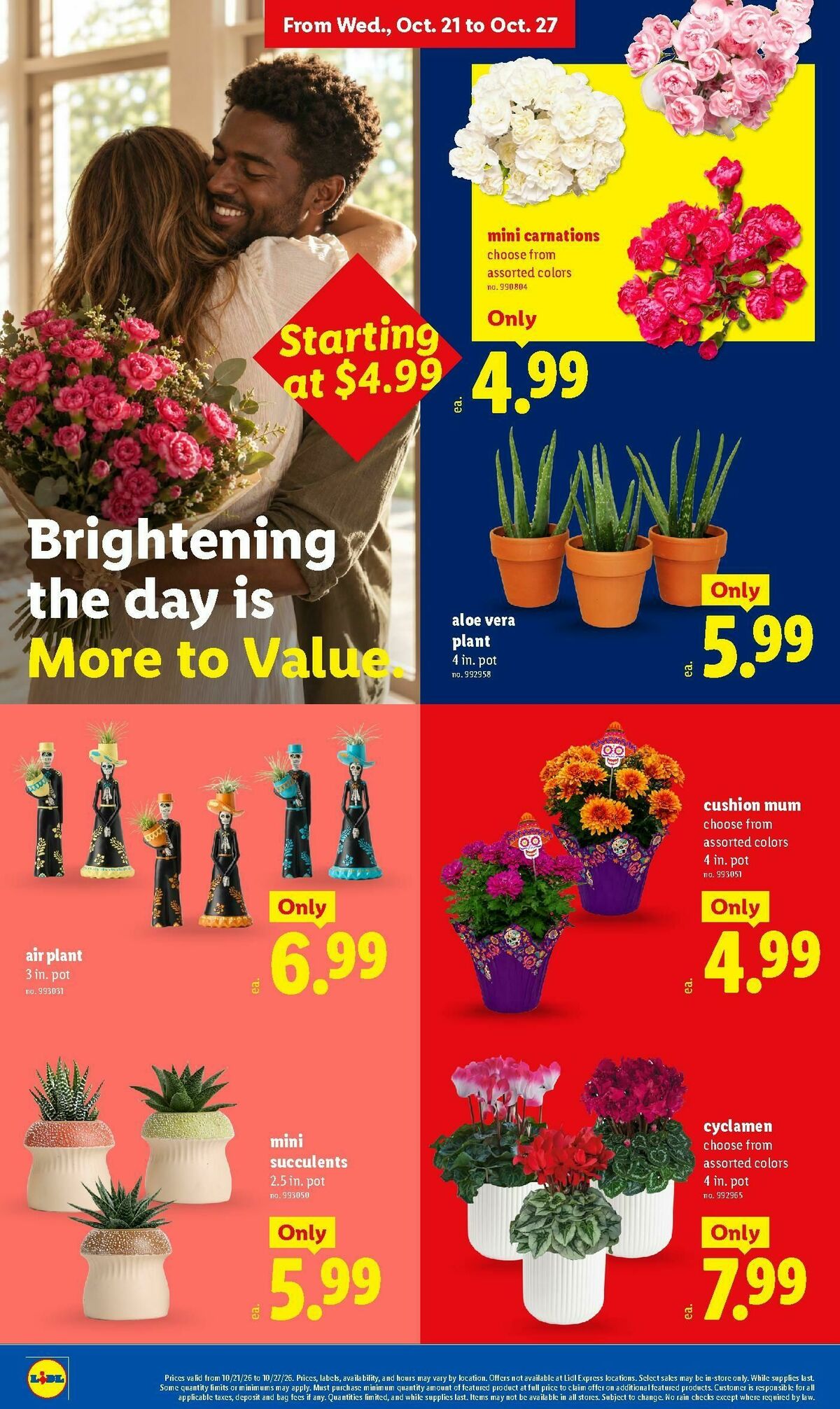LIDL Weekly Ad from October 21
