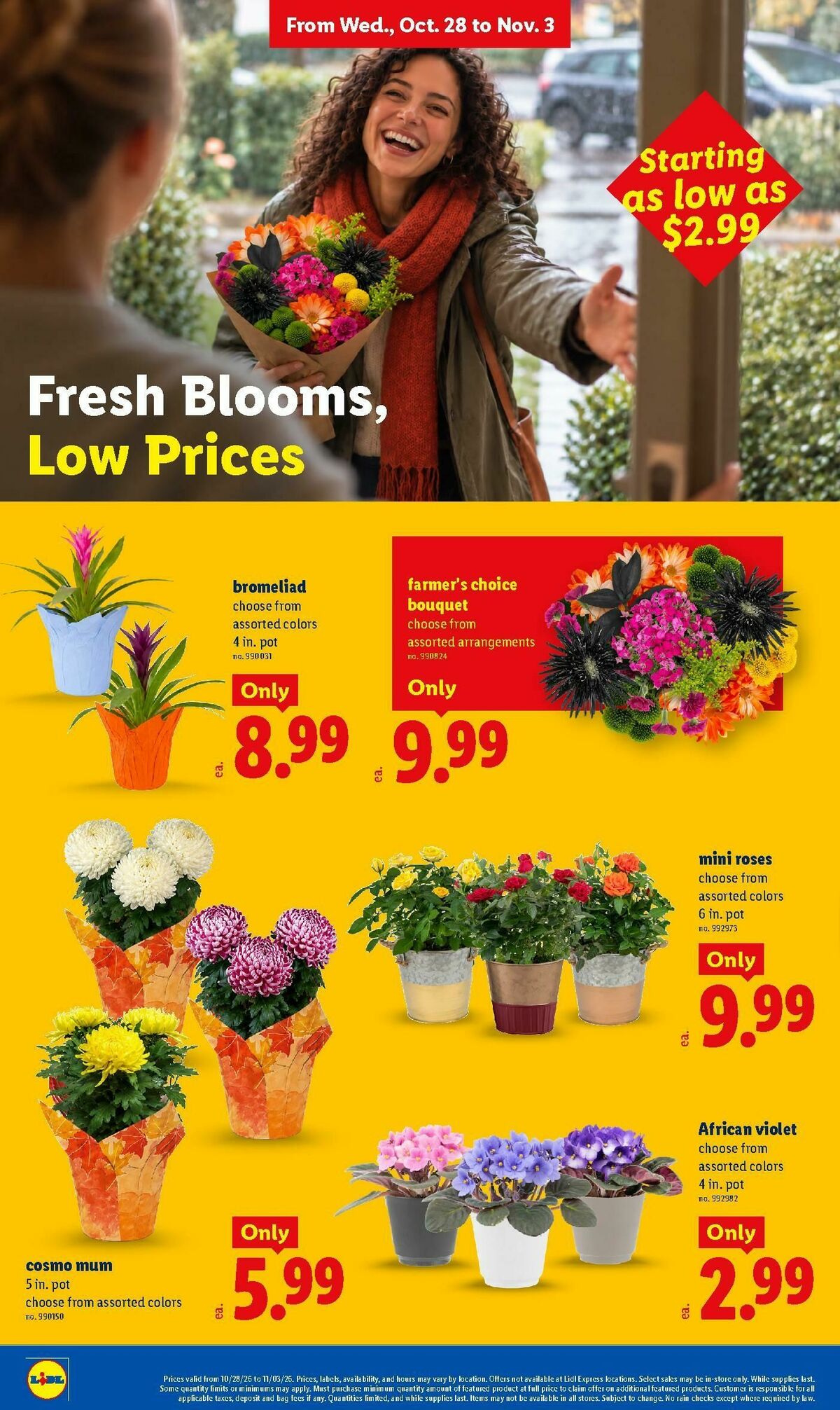 LIDL Weekly Ad from October 28