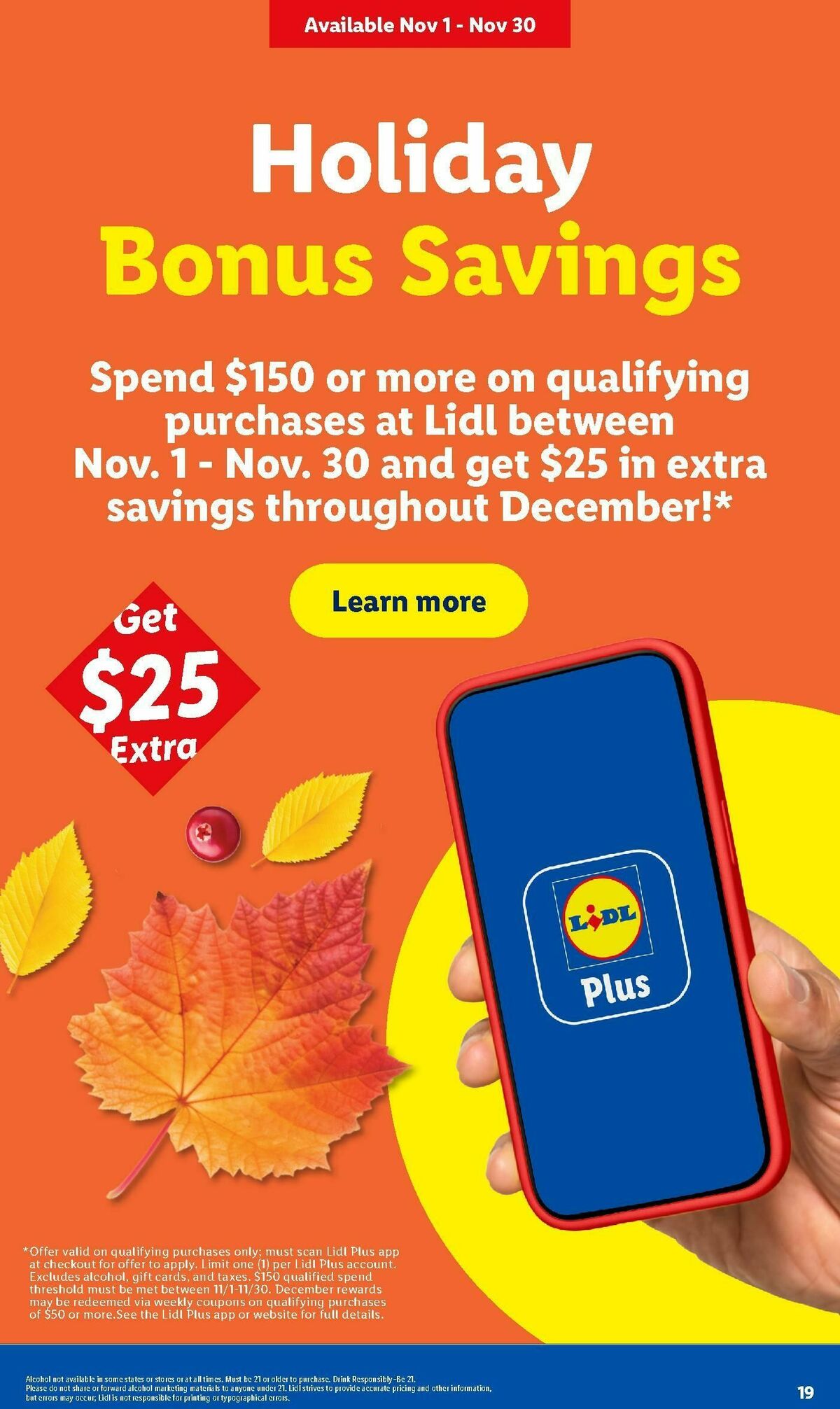 LIDL Weekly Ad from October 28