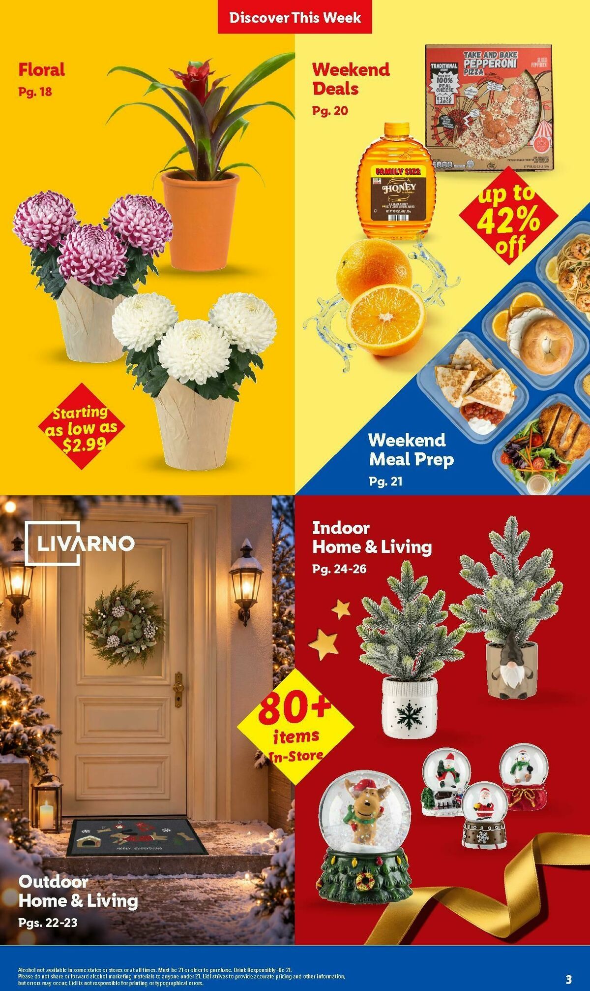 LIDL Weekly Ad from October 28