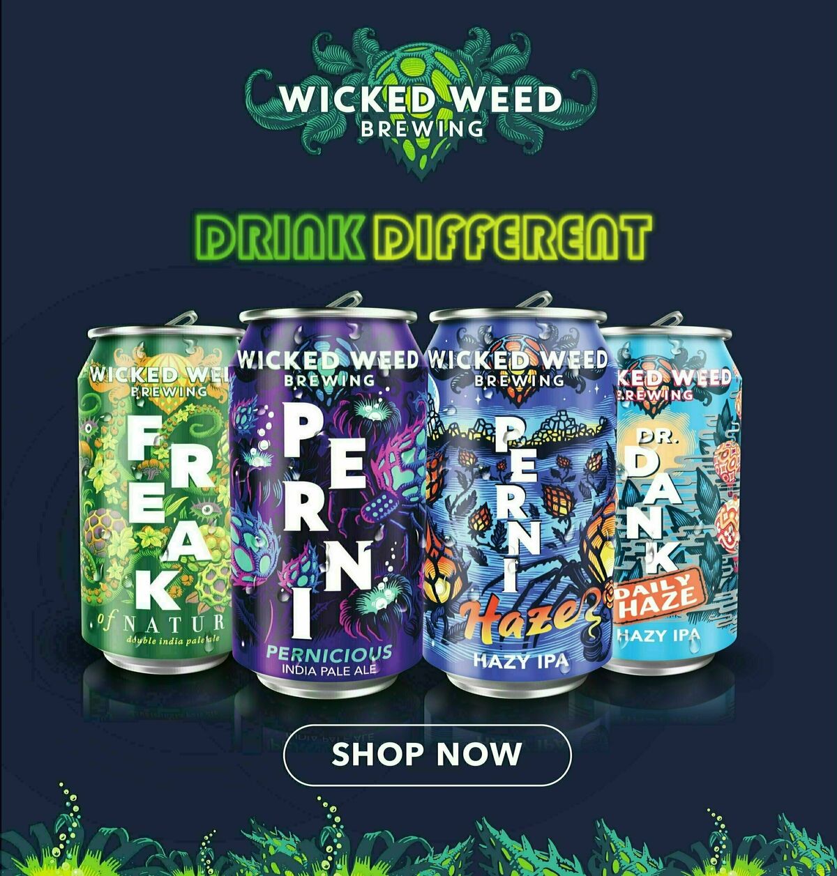 Lowes Foods Weekly Ad from October 11