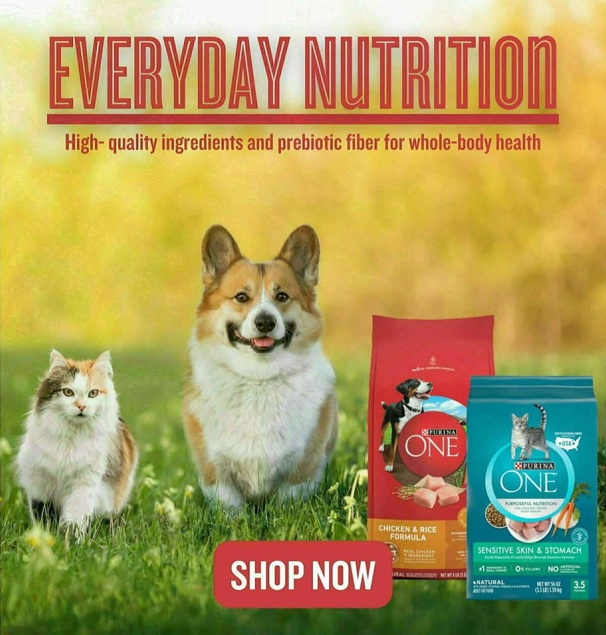 Lowes Foods Weekly Ad from November 1