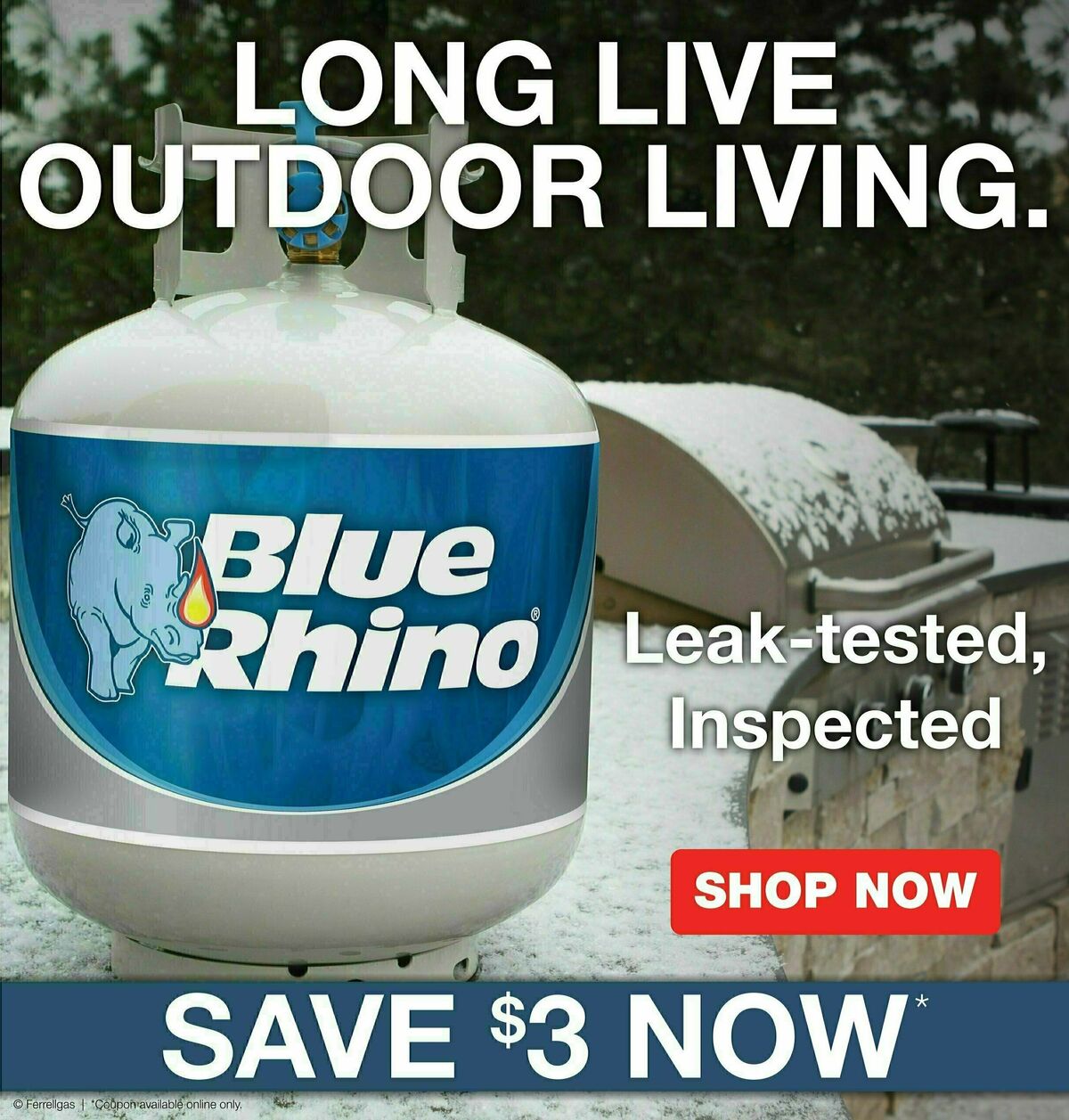 Lowes Foods Weekly Ad from November 8