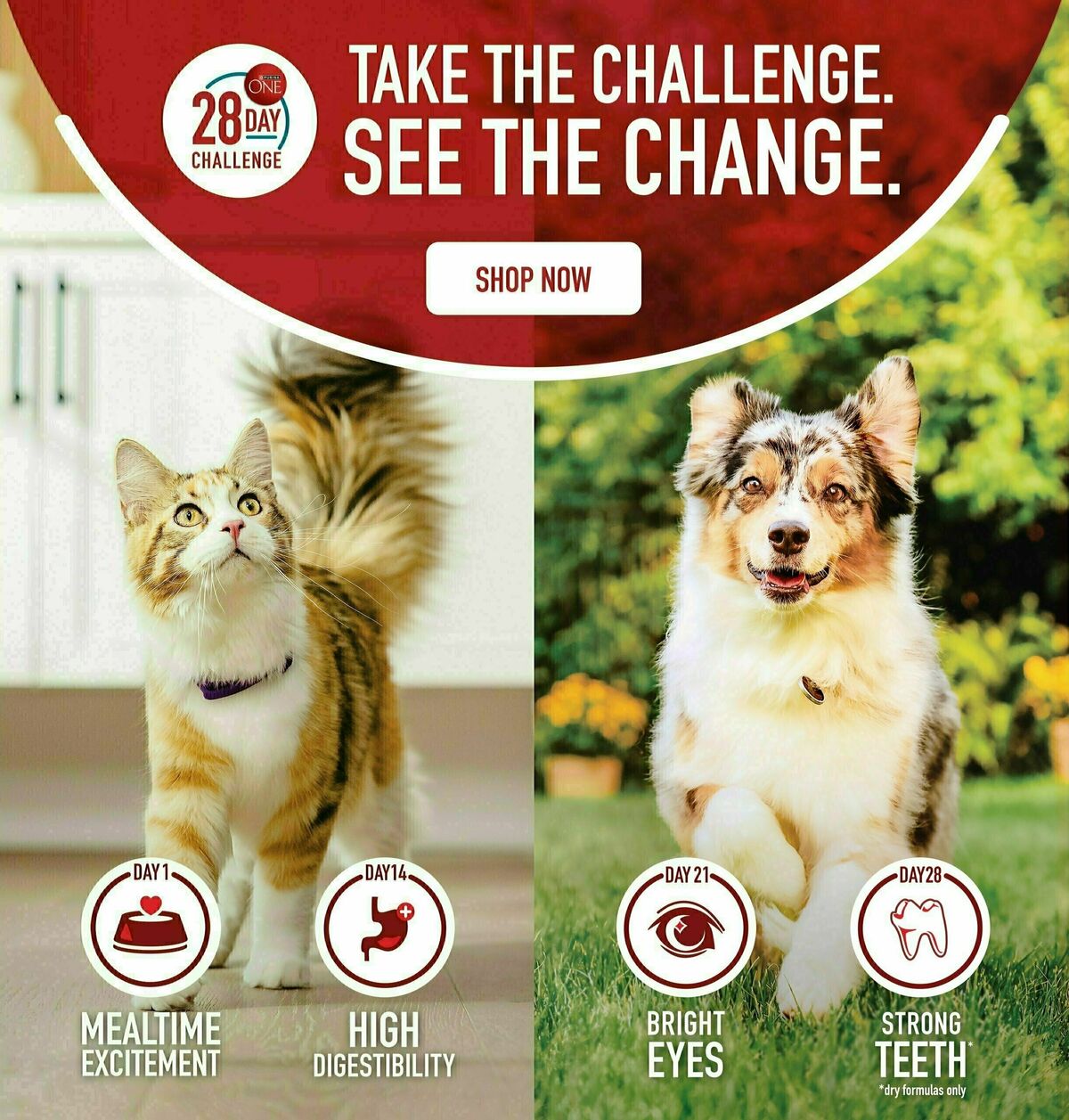 Lowes Foods Weekly Ad from February 21