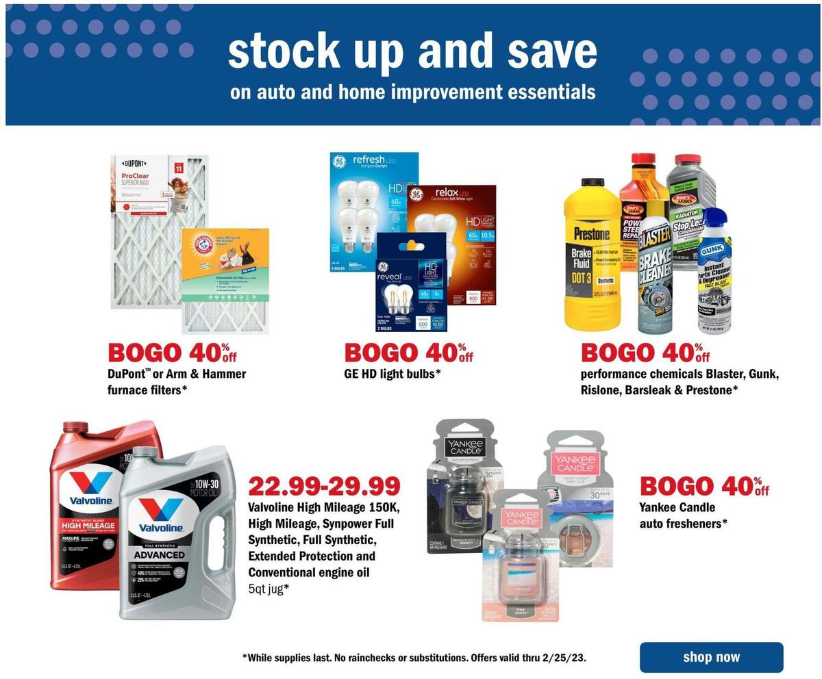 Meijer Auto Weekly Ad from February 19