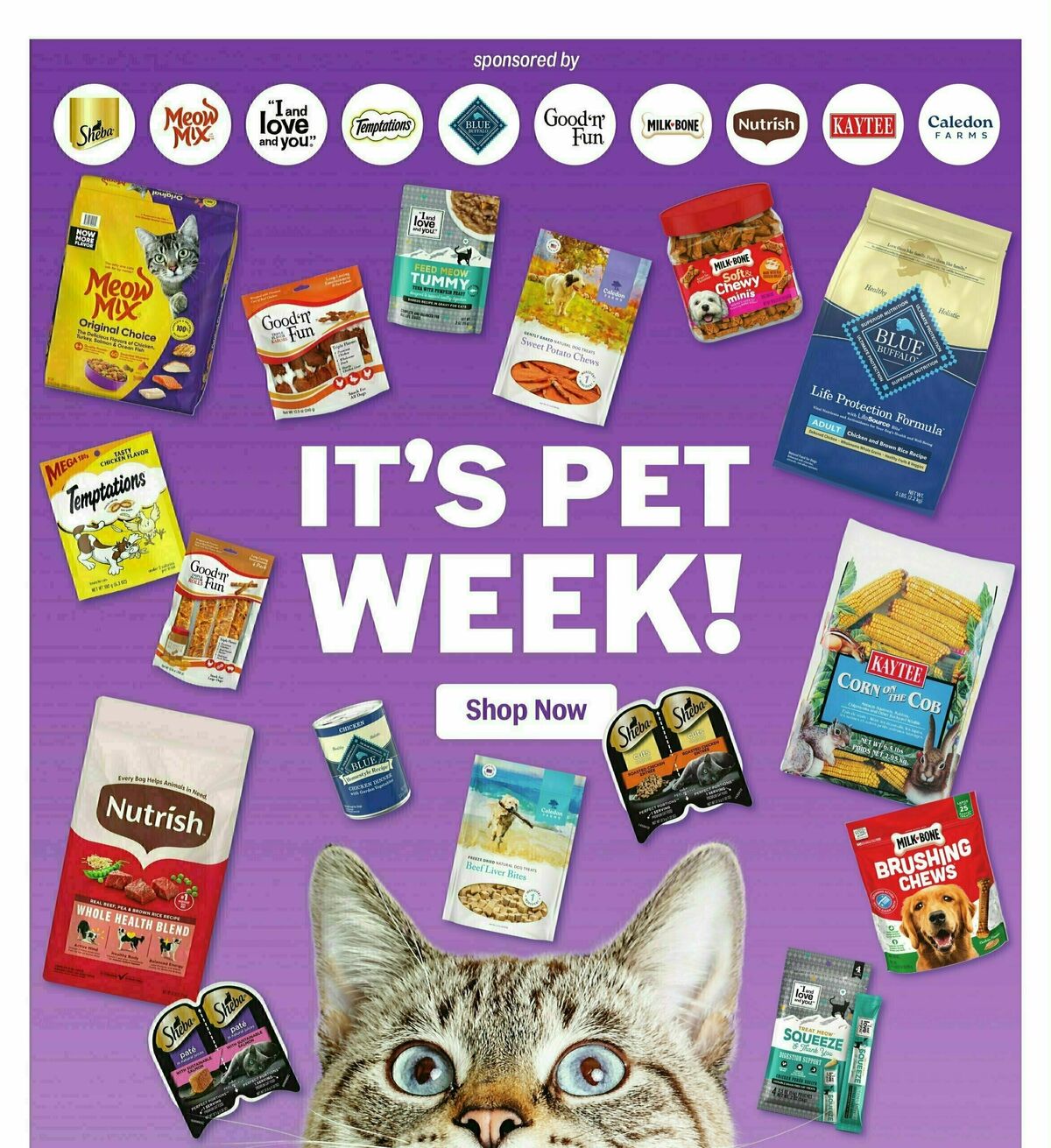 Meijer Weekly Ad from May 11
