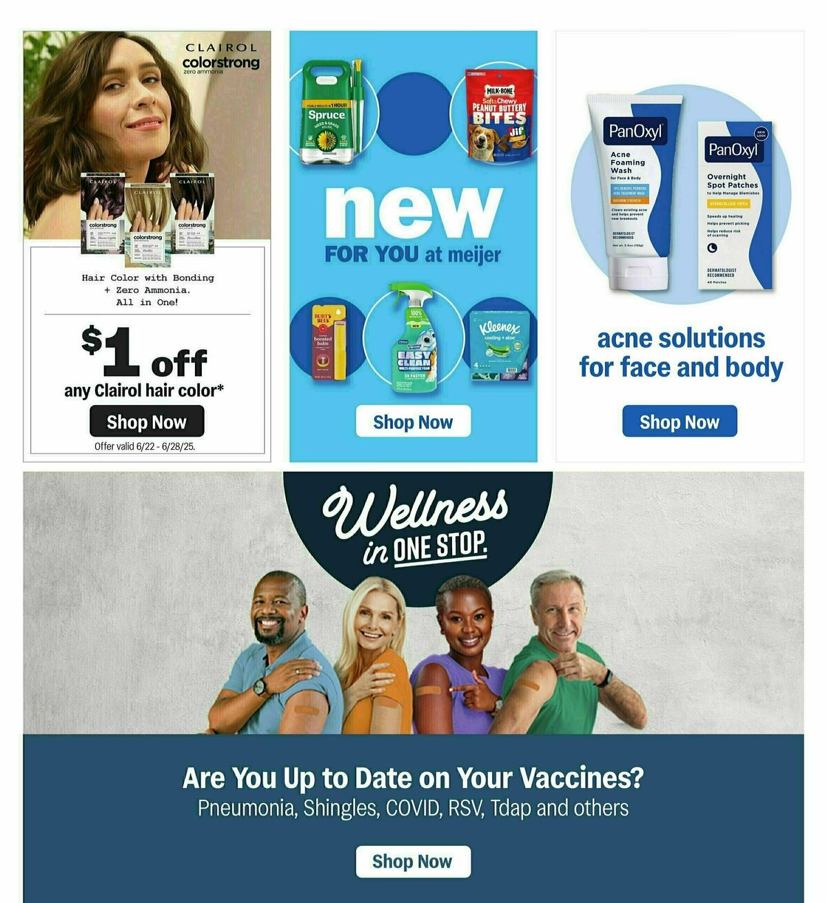 Meijer Weekly Ad from June 22
