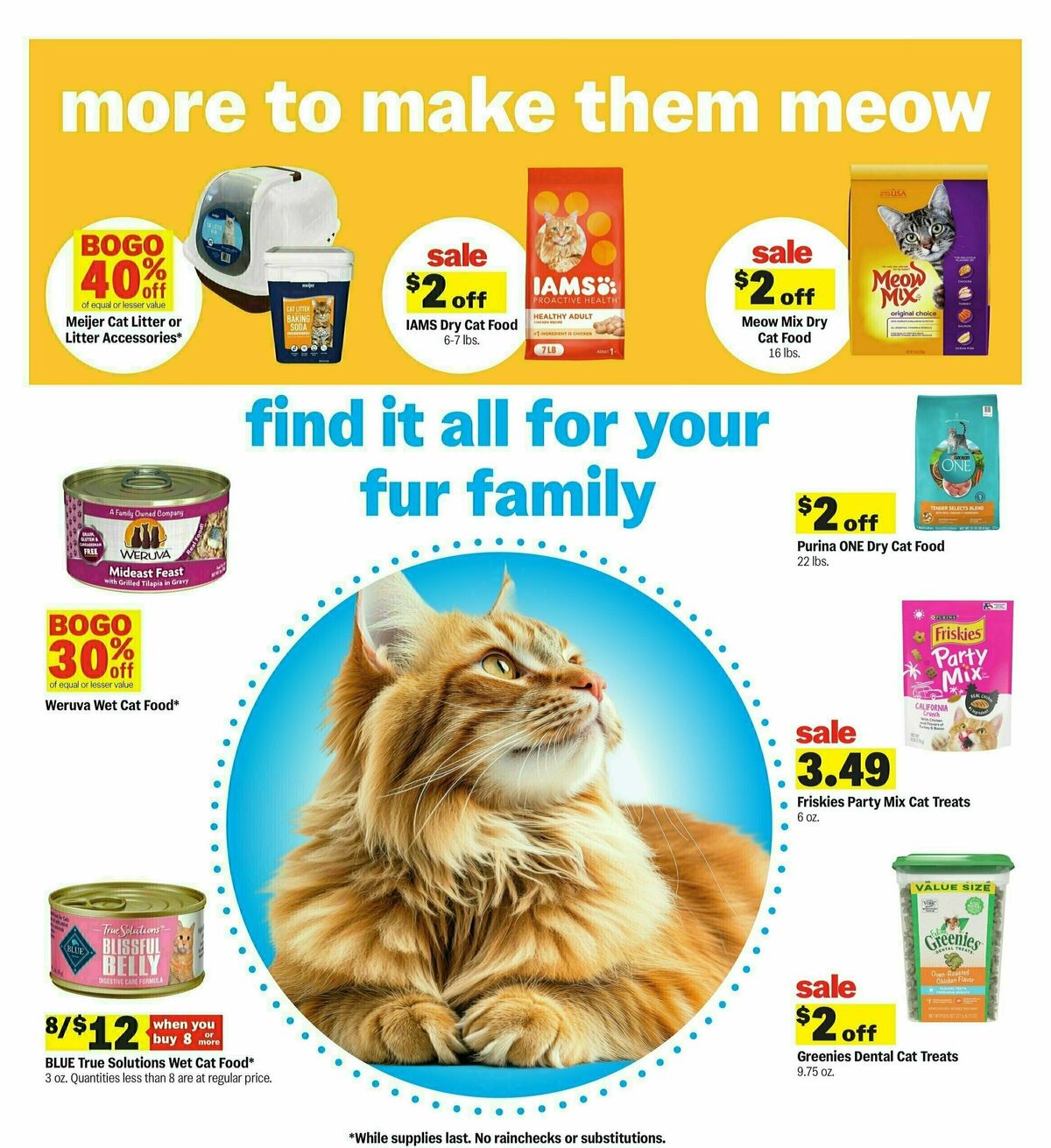 Meijer Weekly Ad from July 13