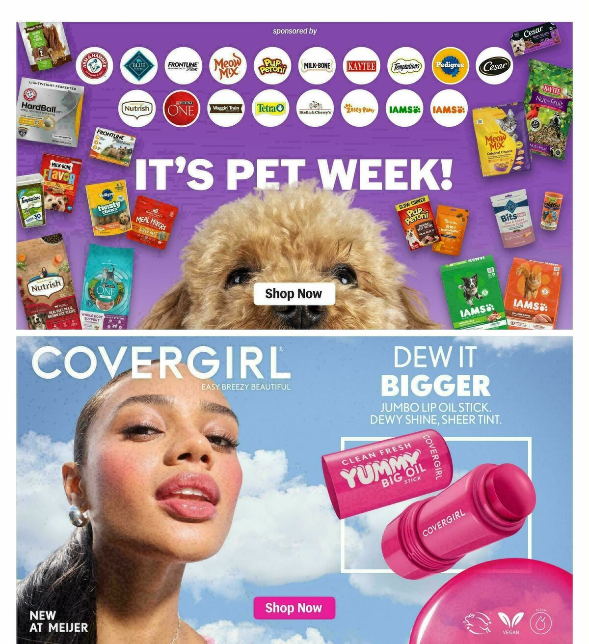 Meijer Weekly Ad from July 8