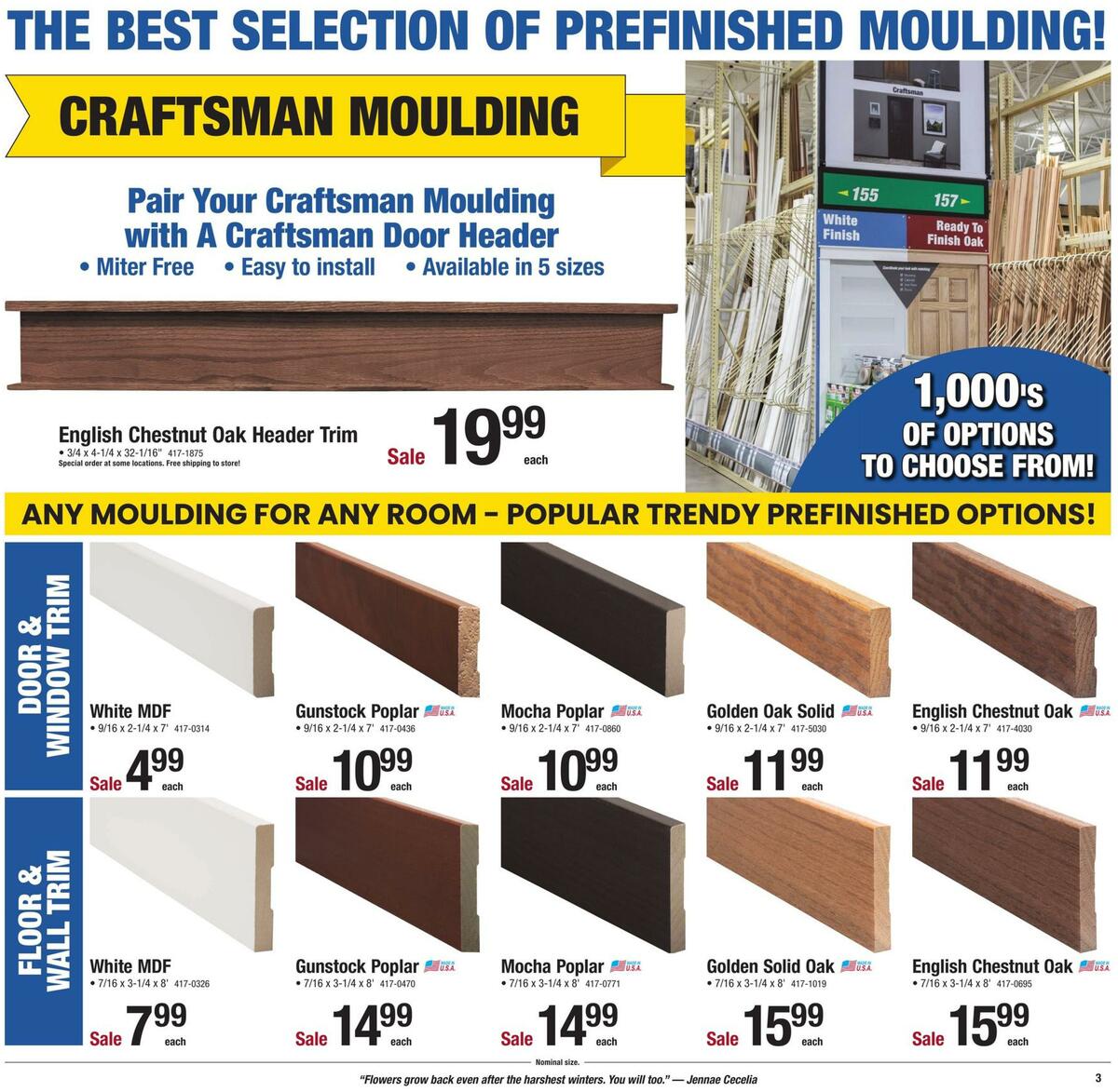 Menards Weekly Ad from January 24