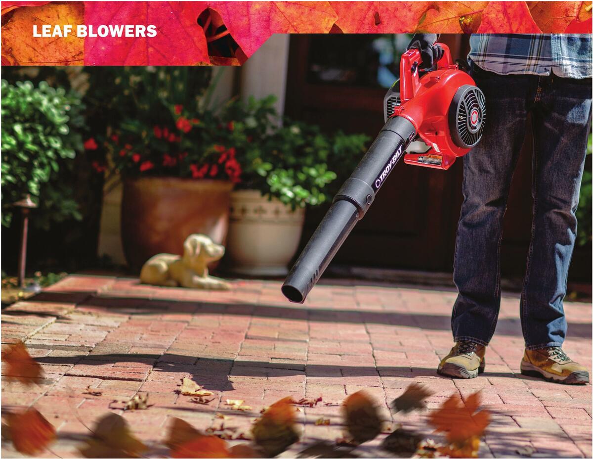 Menards Outdoor Power Catalog Weekly Ad from March 14