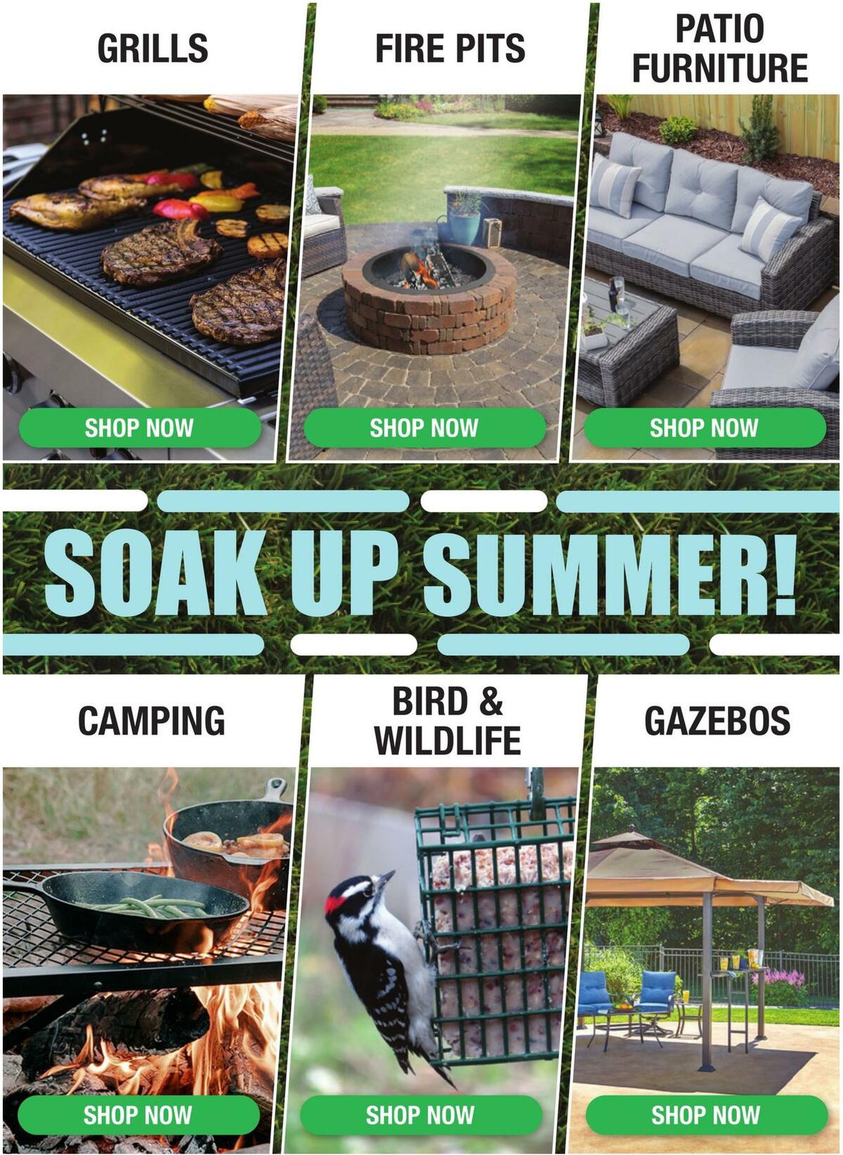 Menards Weekly Ad from August 3