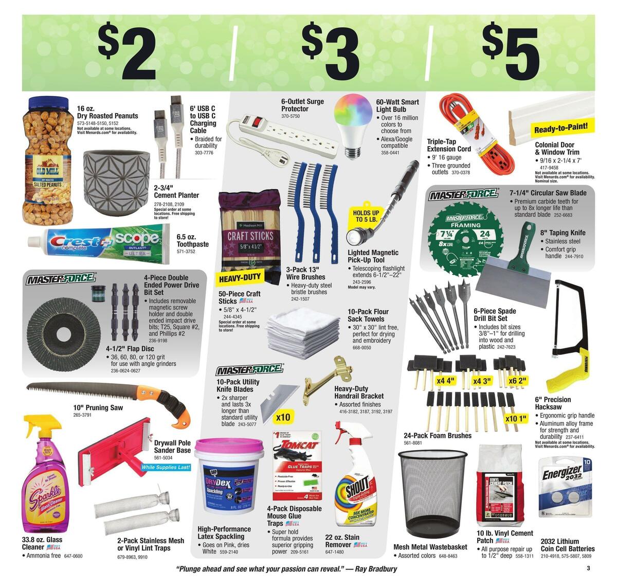 Menards Weekly Ad from January 19