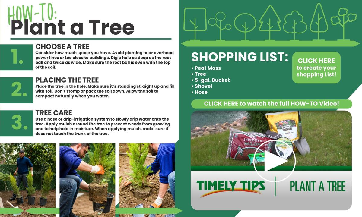 Menards Weekly Ad from April 5