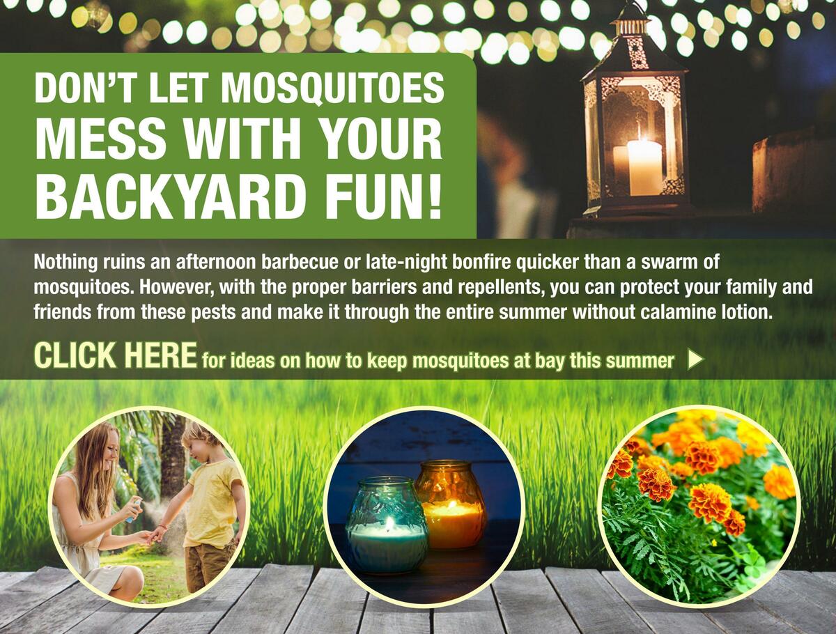 Menards Weekly Ad from May 31