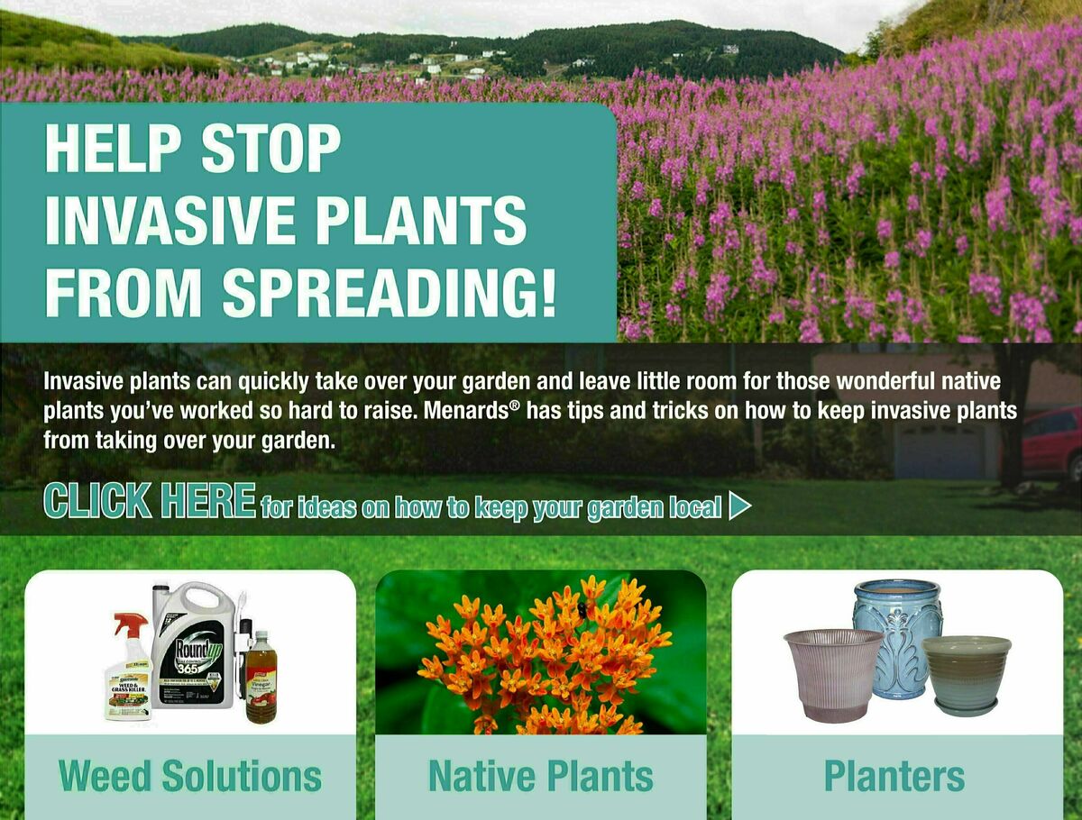 Menards Weekly Ad from July 6