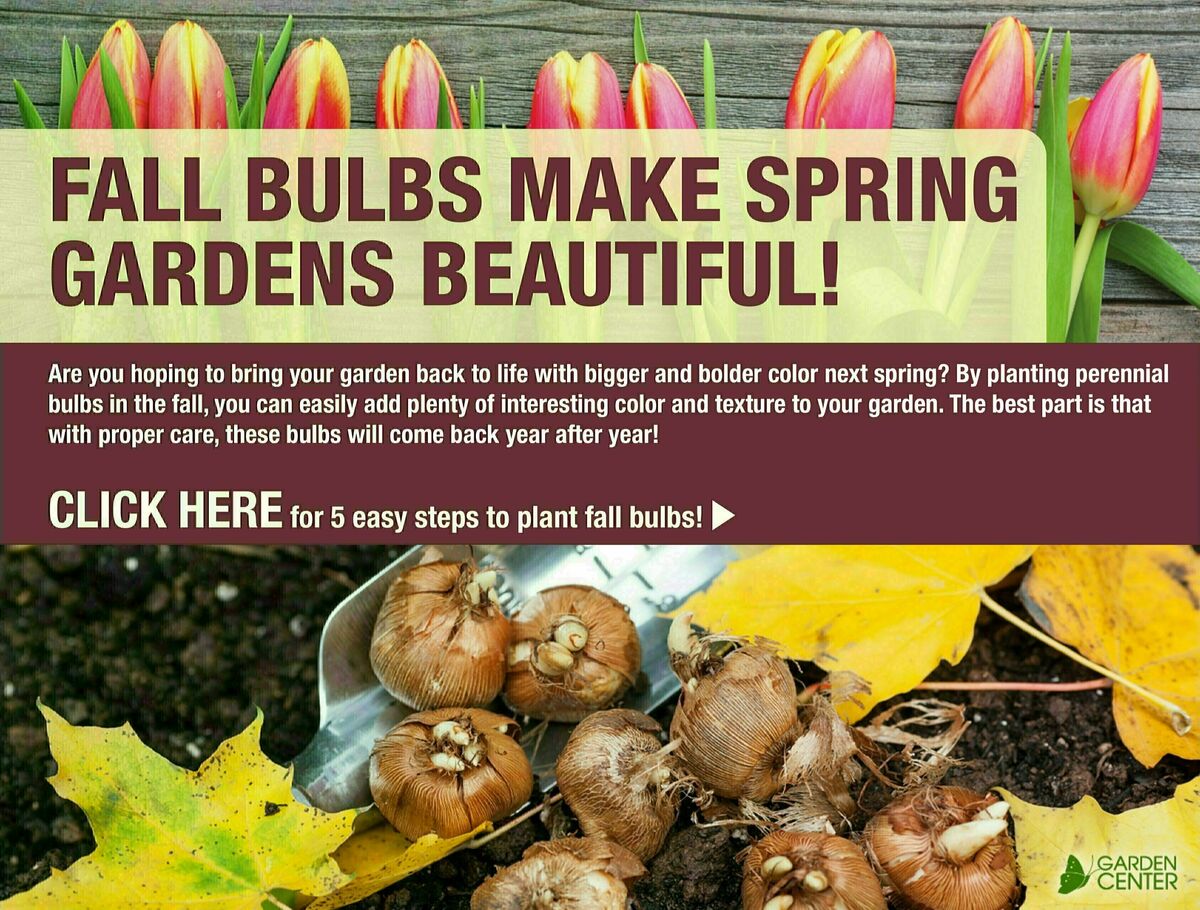 Menards Weekly Ad from September 6