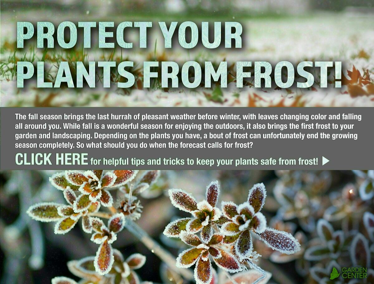 Menards Weekly Ad from September 20