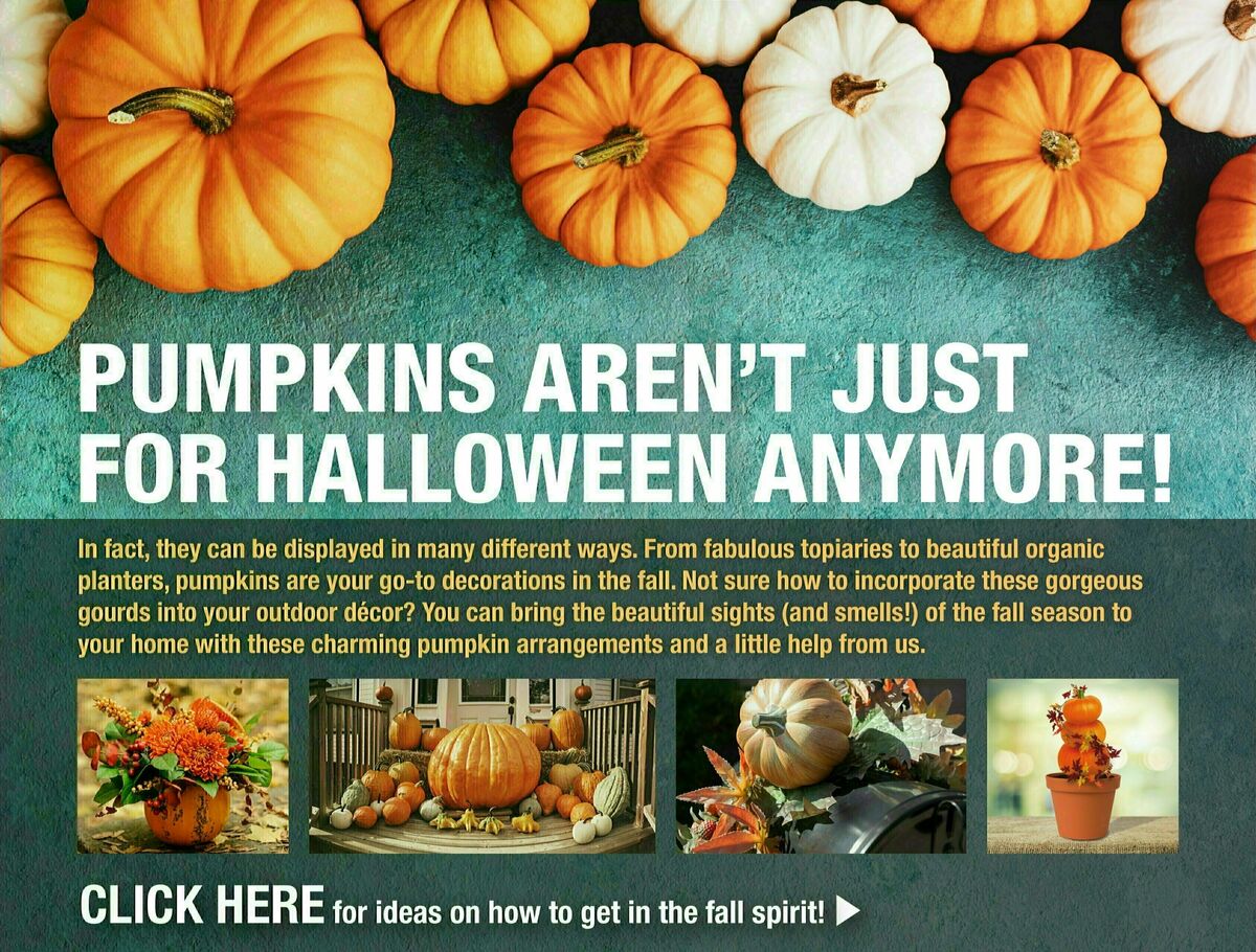 Menards Weekly Ad from October 11