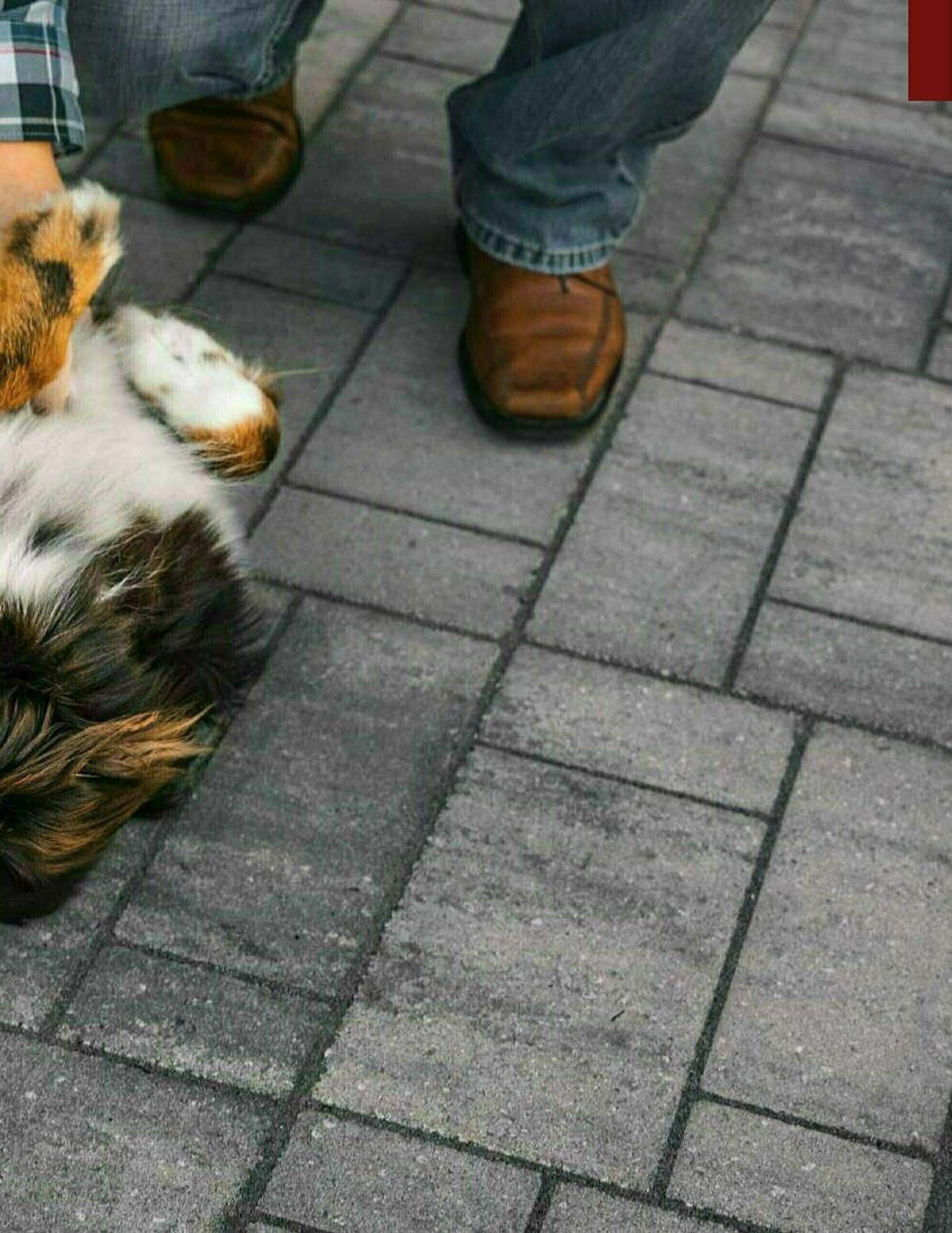 Menards Landscape Block Catalog Weekly Ad from March 13