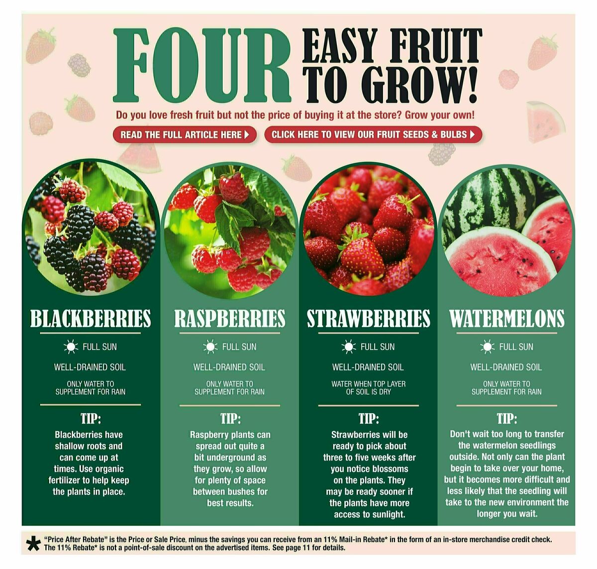 Menards Weekly Ad from April 9