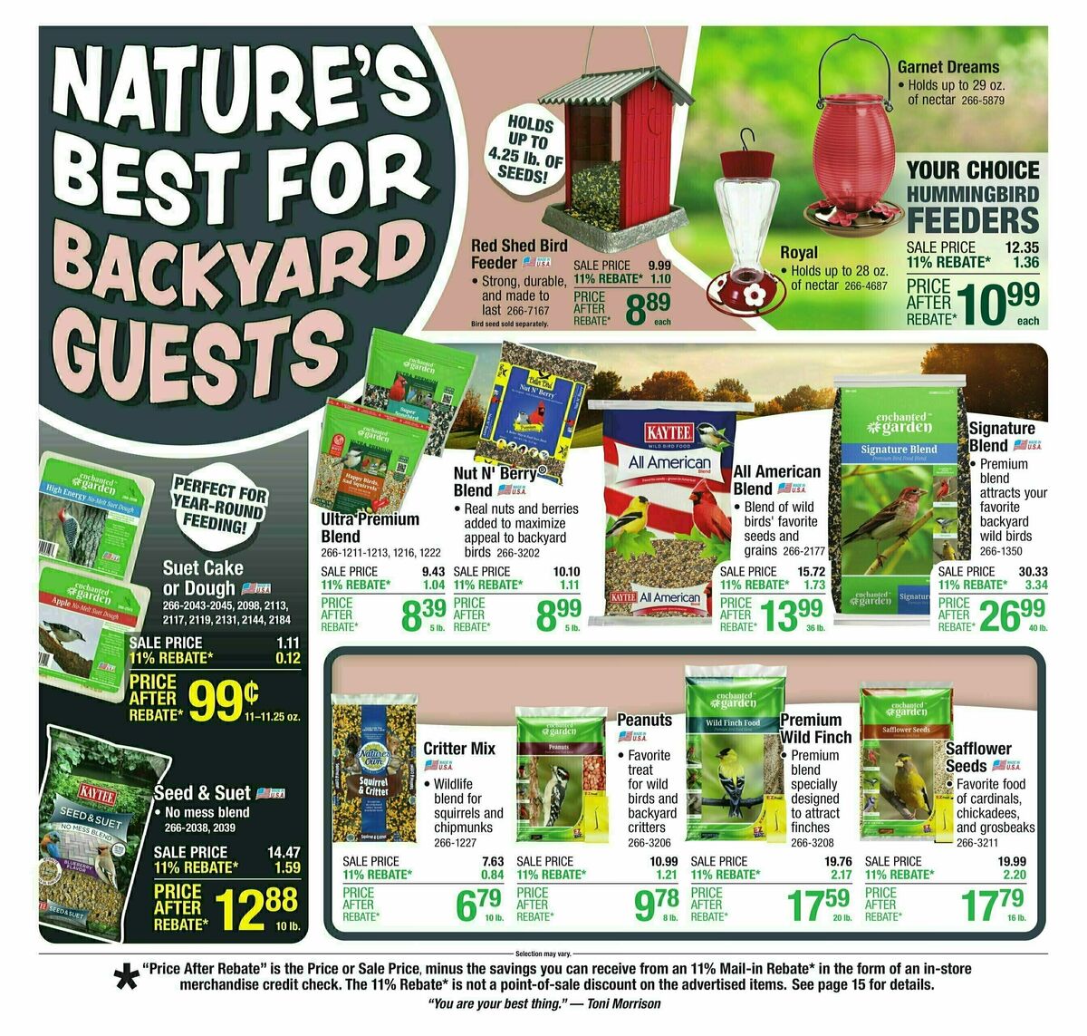 Menards Weekly Ad from June 4