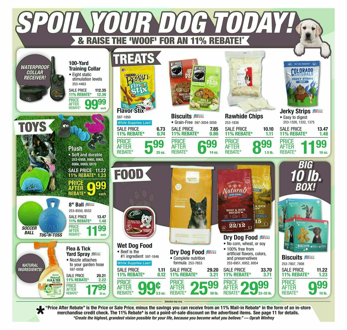 Menards Weekly Ad from June 11