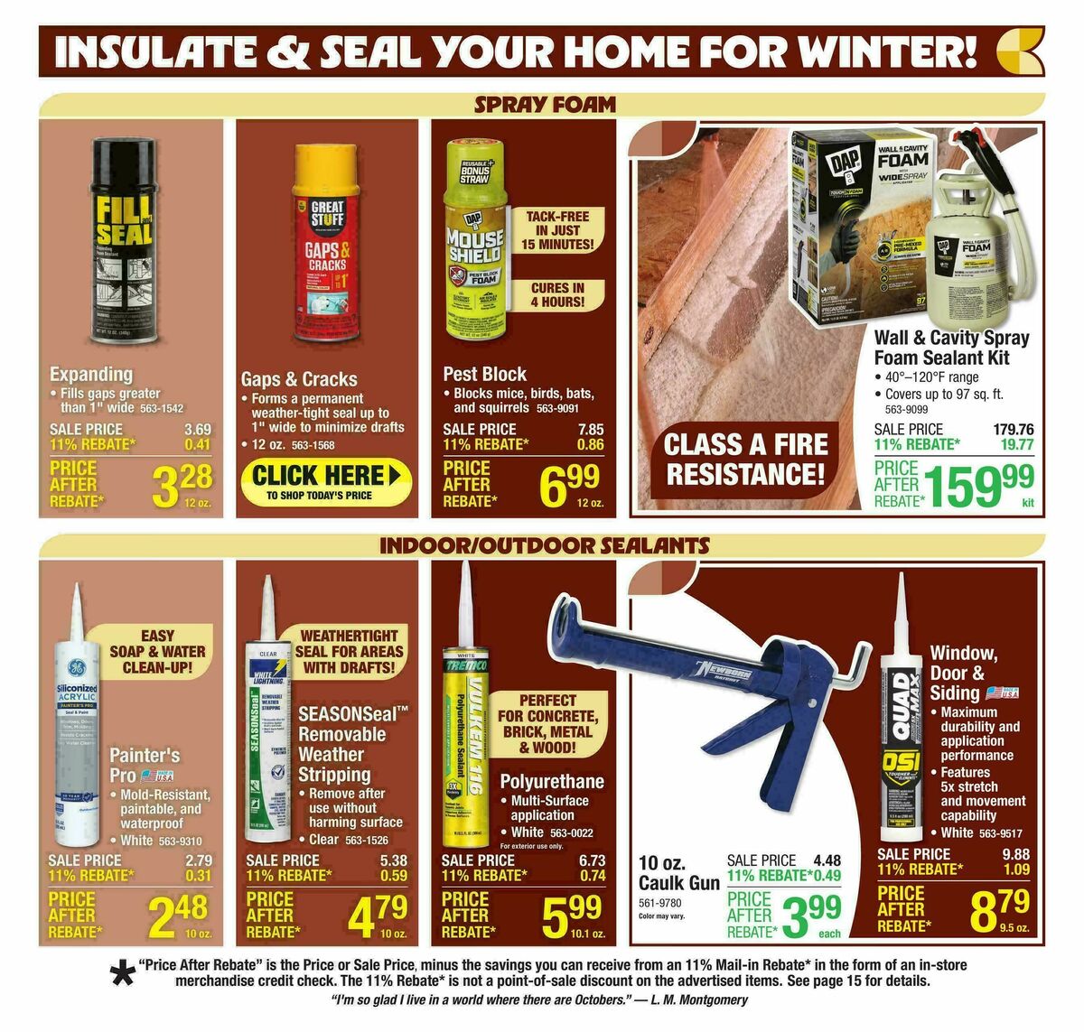 Menards Weekly Ad from October 15